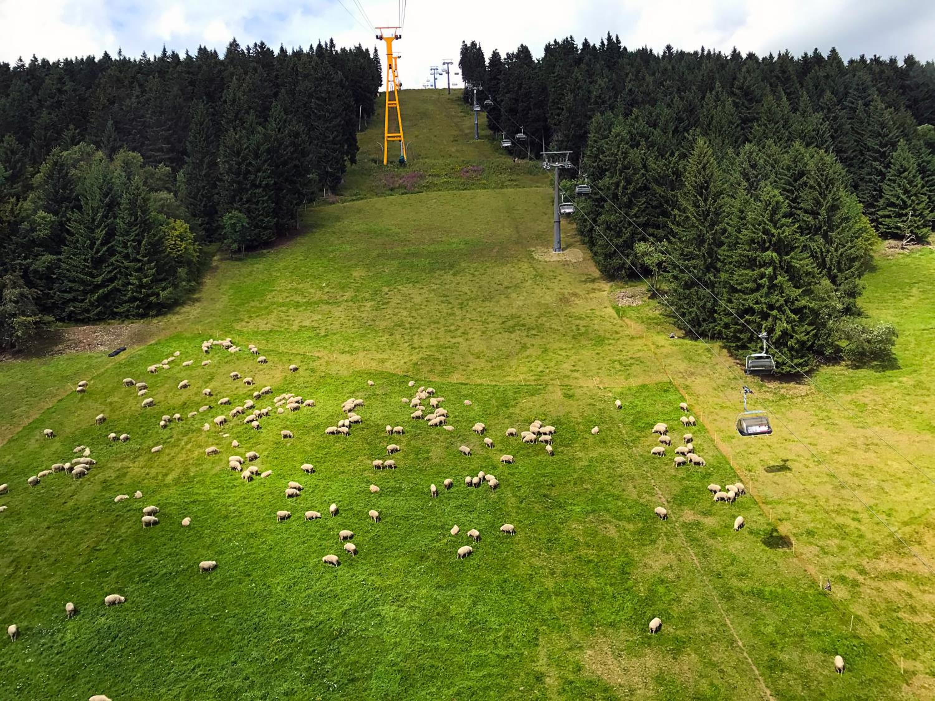 Landhaus-Chalet-Keilberger Blick