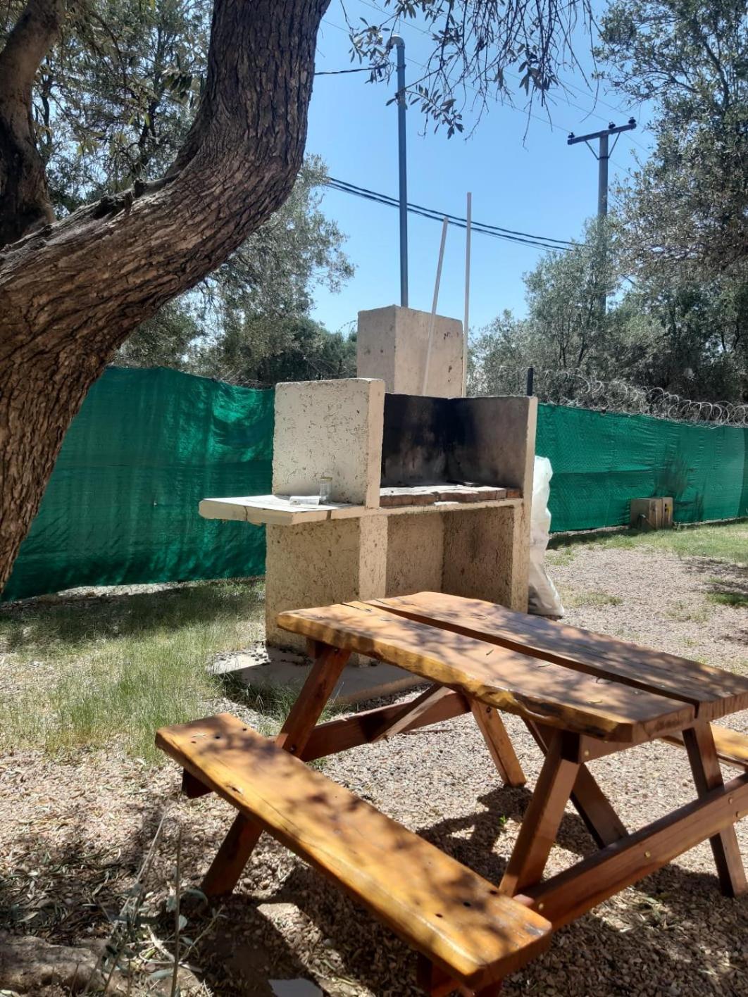 Raíces Departamento 1