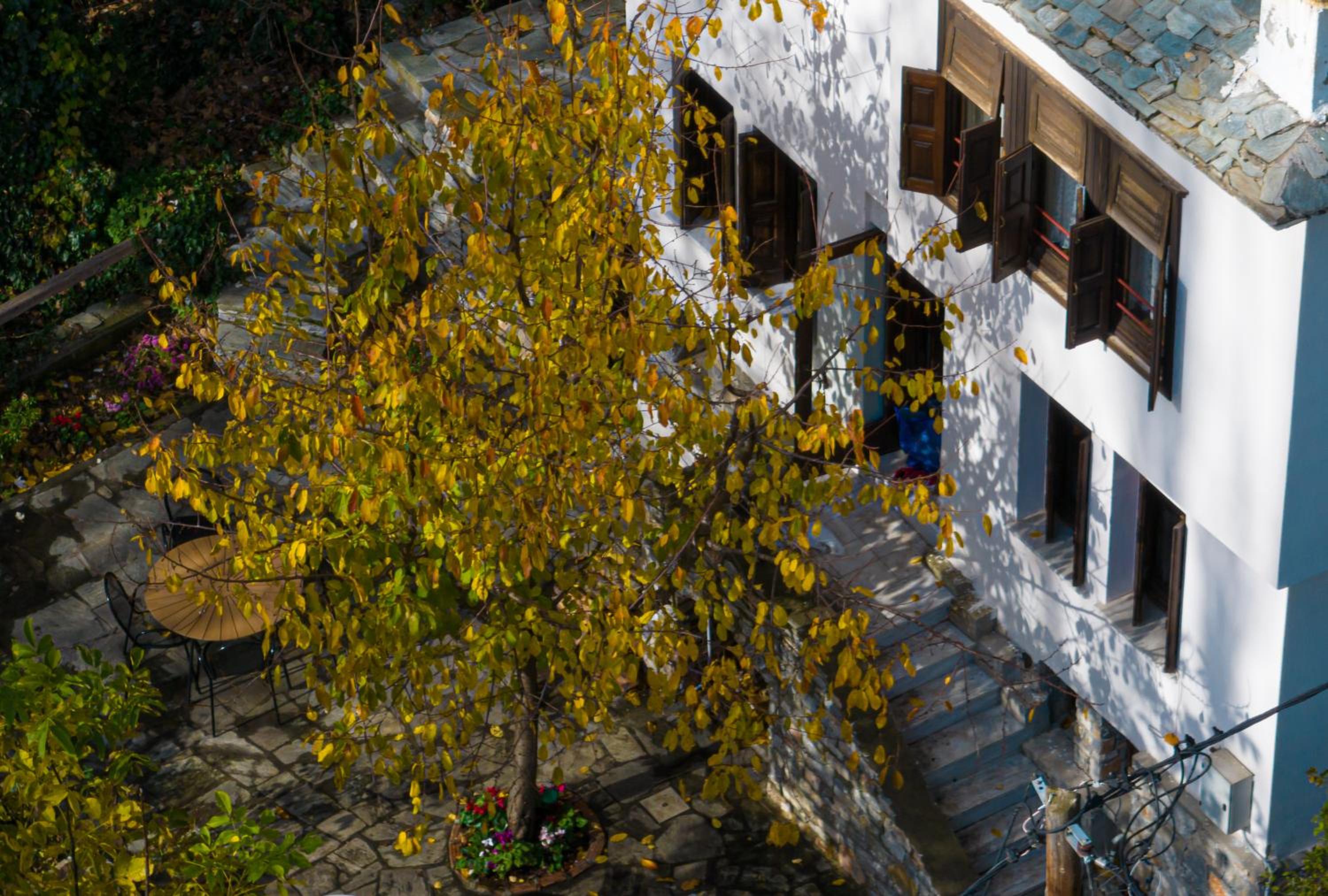 KP113 All Season Villa in Makrinitsa view 4