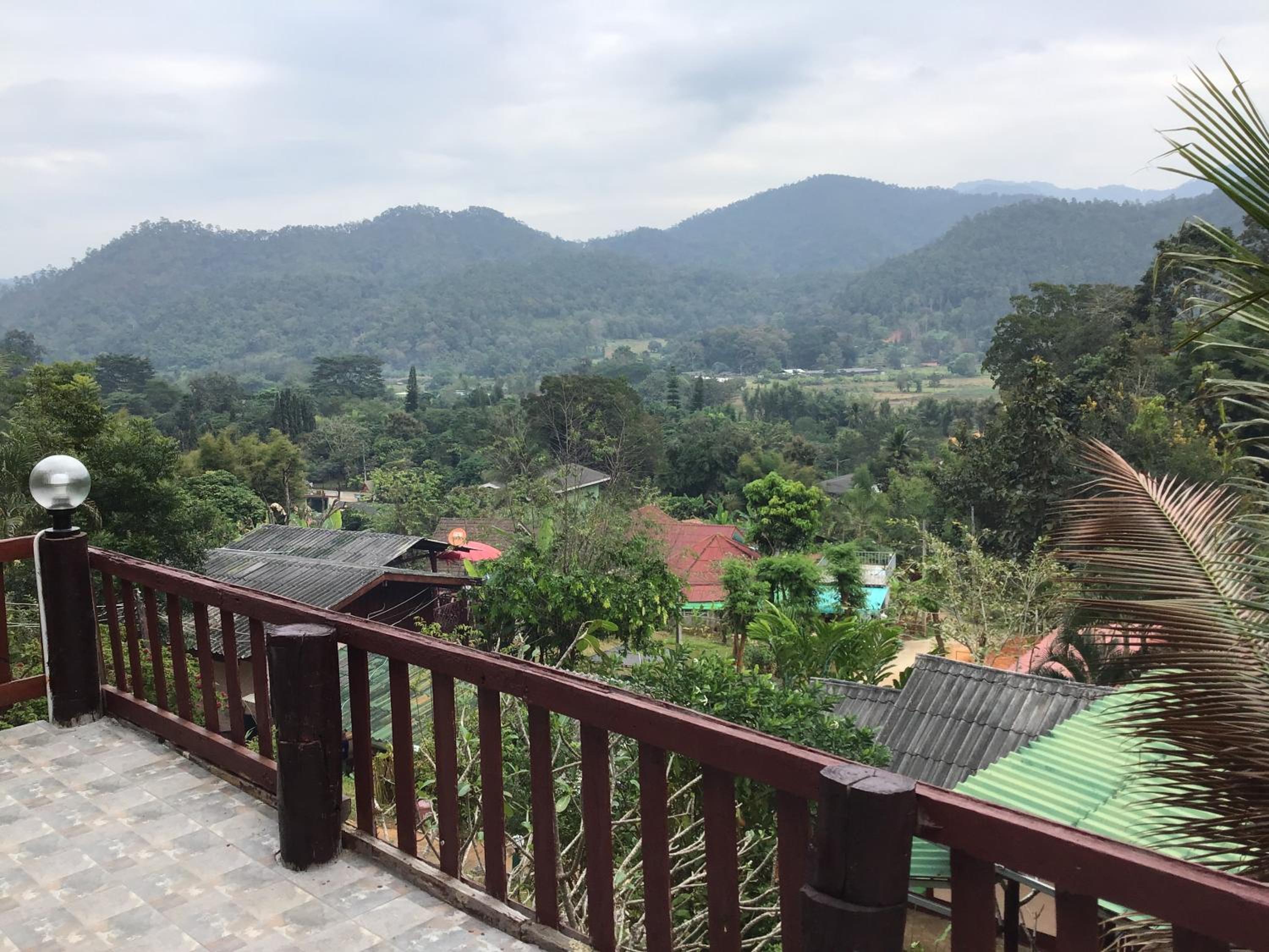 Forest Guesthouse