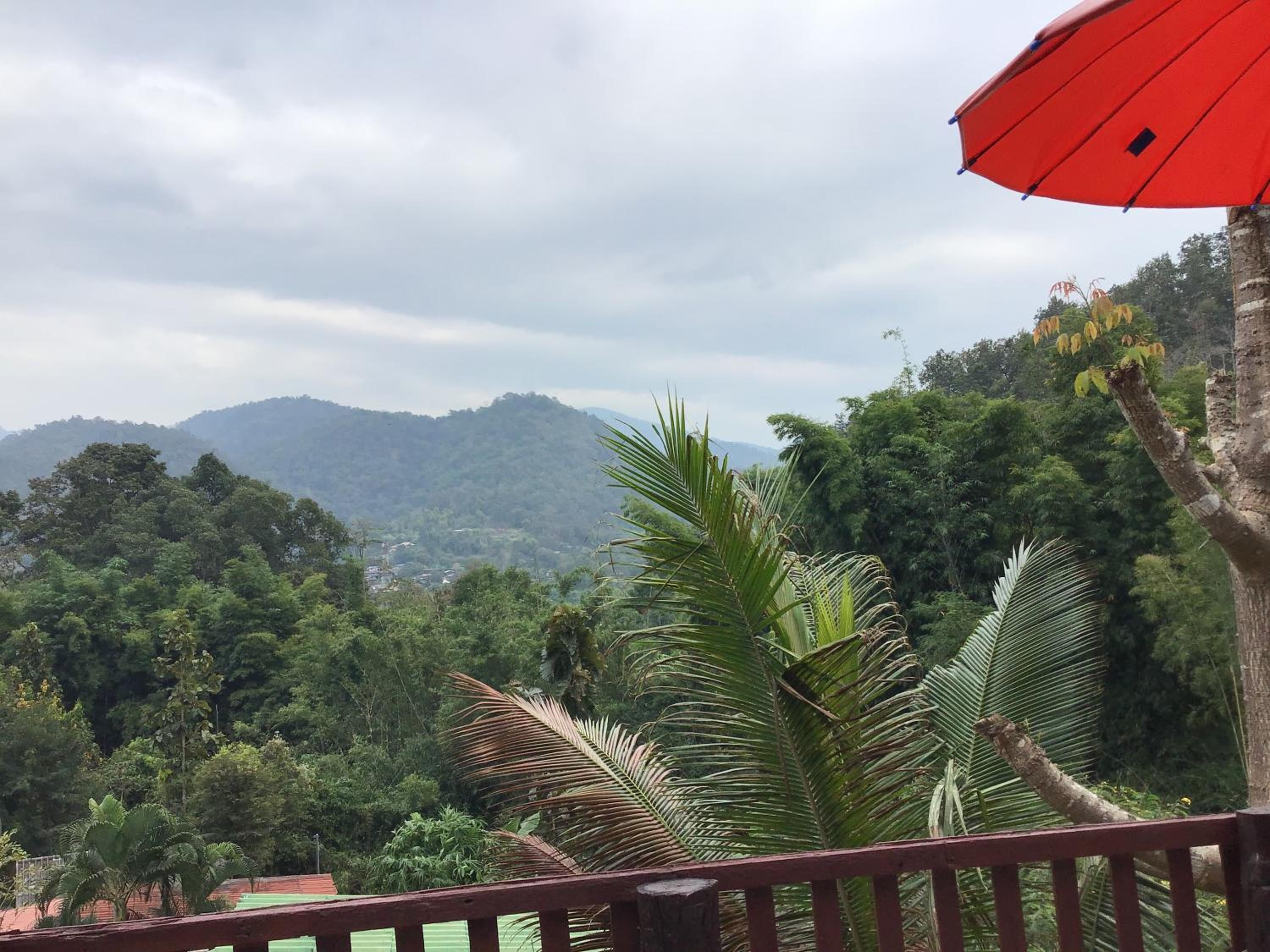 Forest Guesthouse