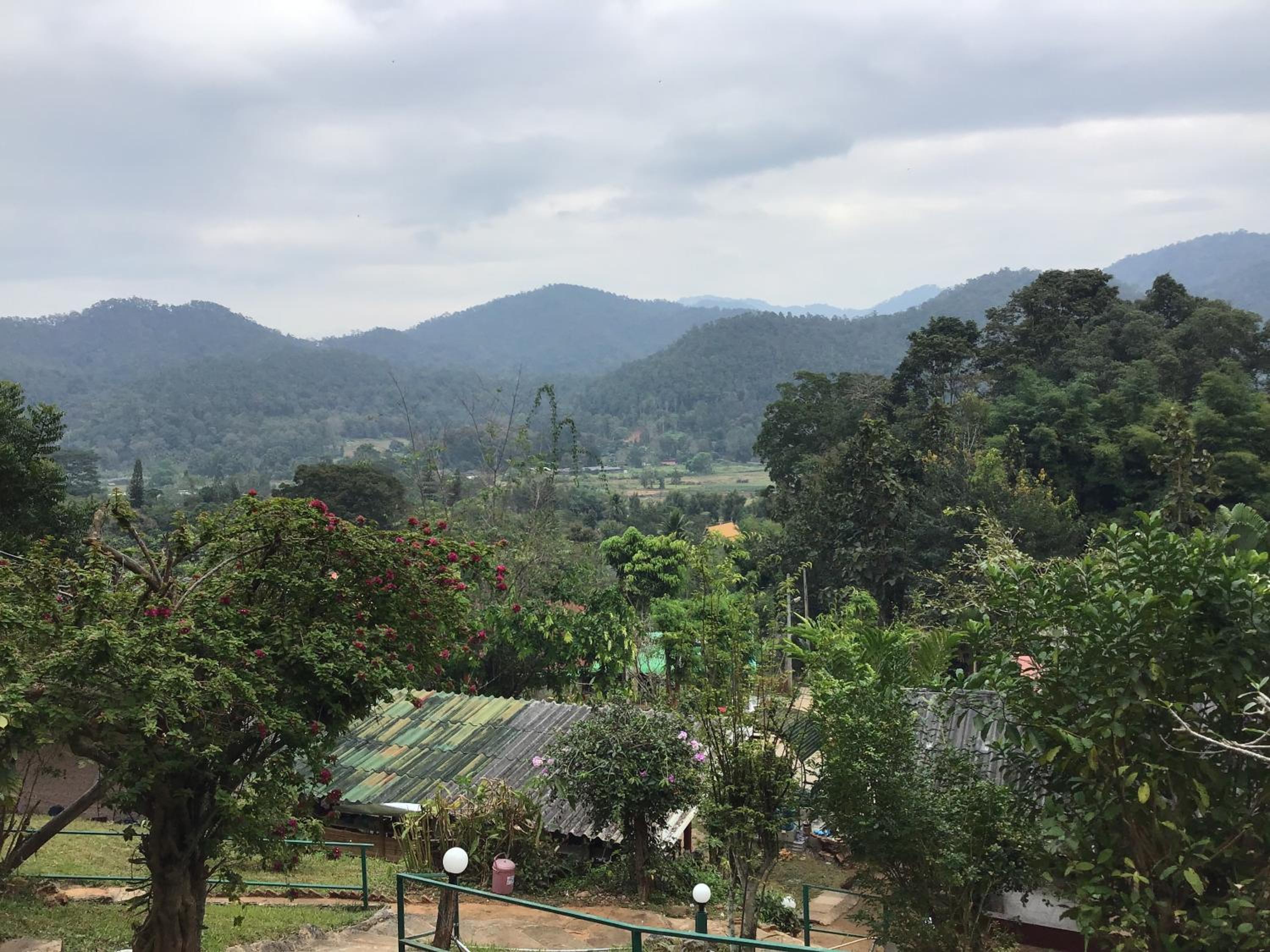 Forest Guesthouse