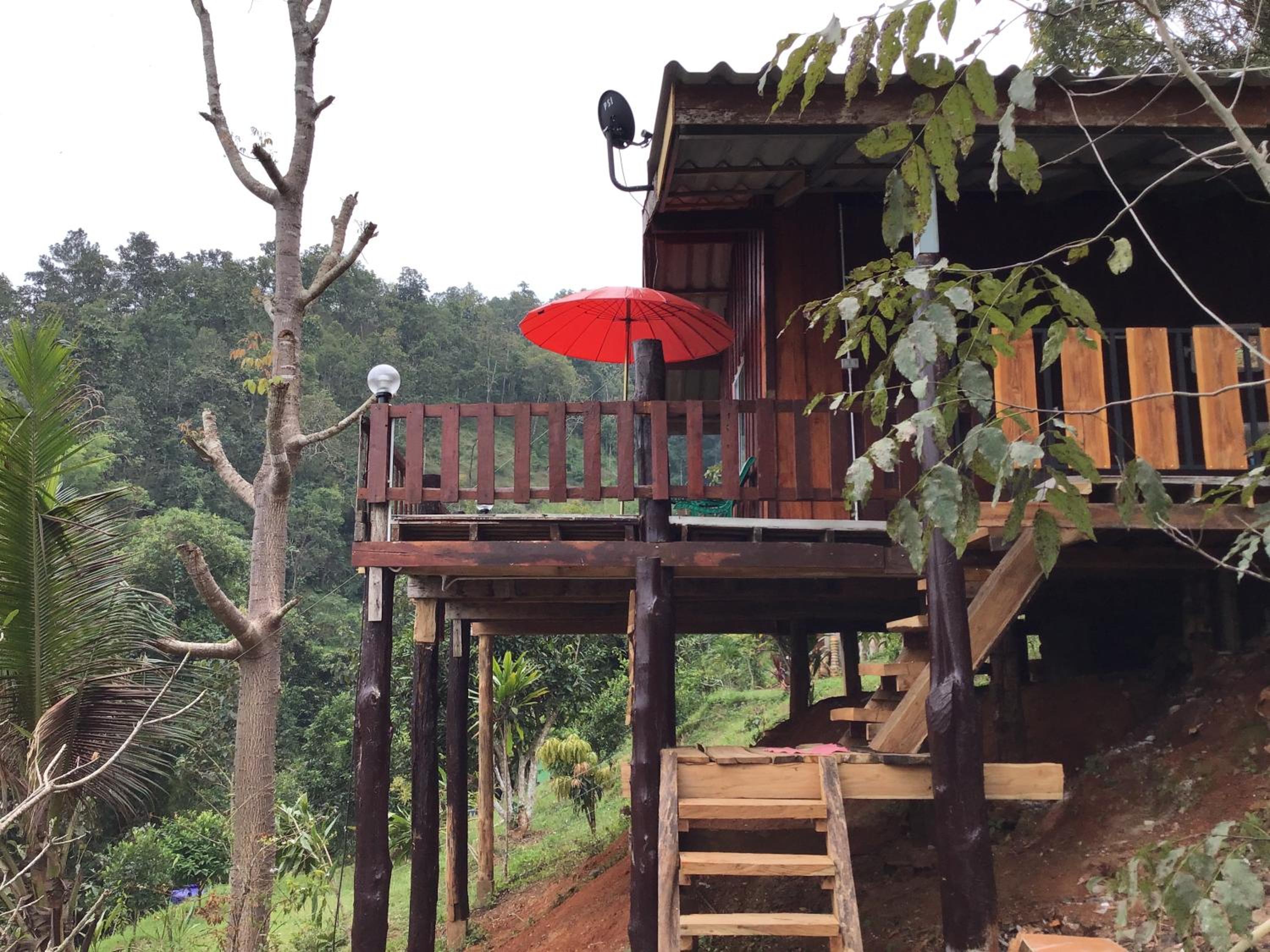 Forest Guesthouse