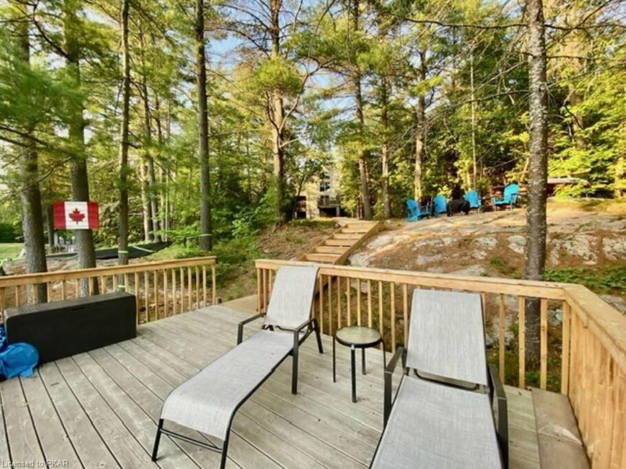 Luxurious Four Season lake front cottage in Kawarthas