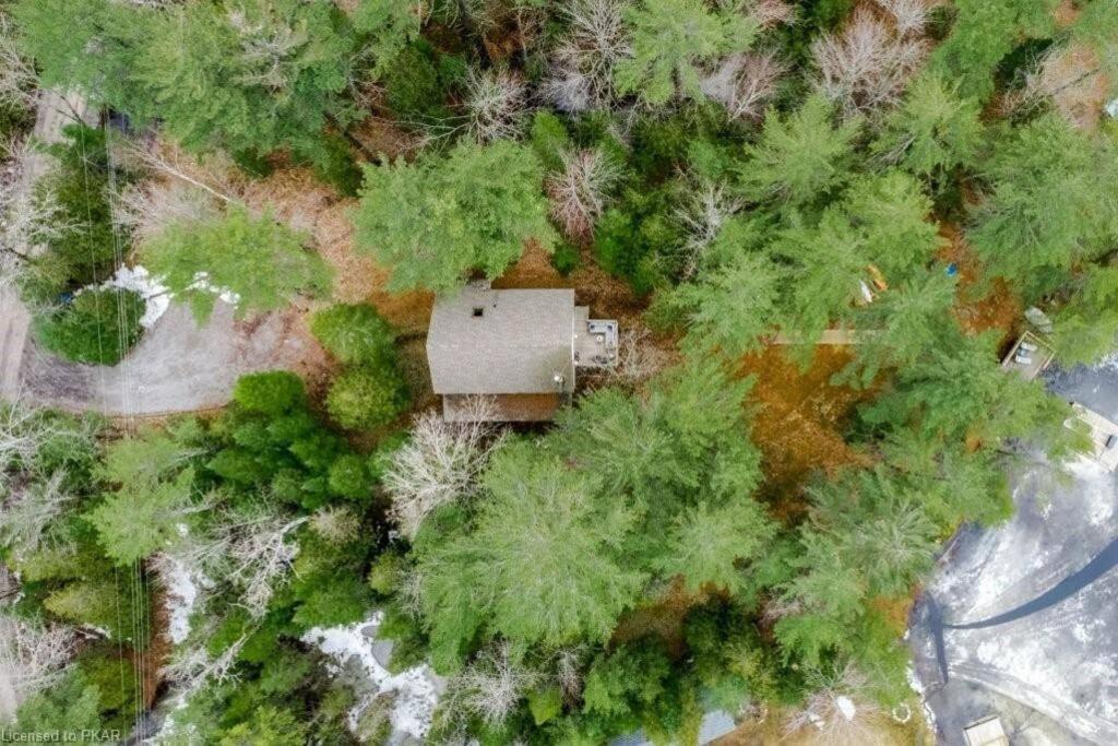Luxurious Four Season lake front cottage in Kawarthas