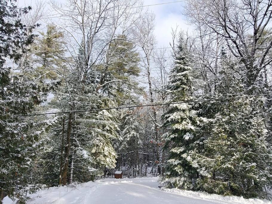 Luxurious Four Season lake front cottage in Kawarthas