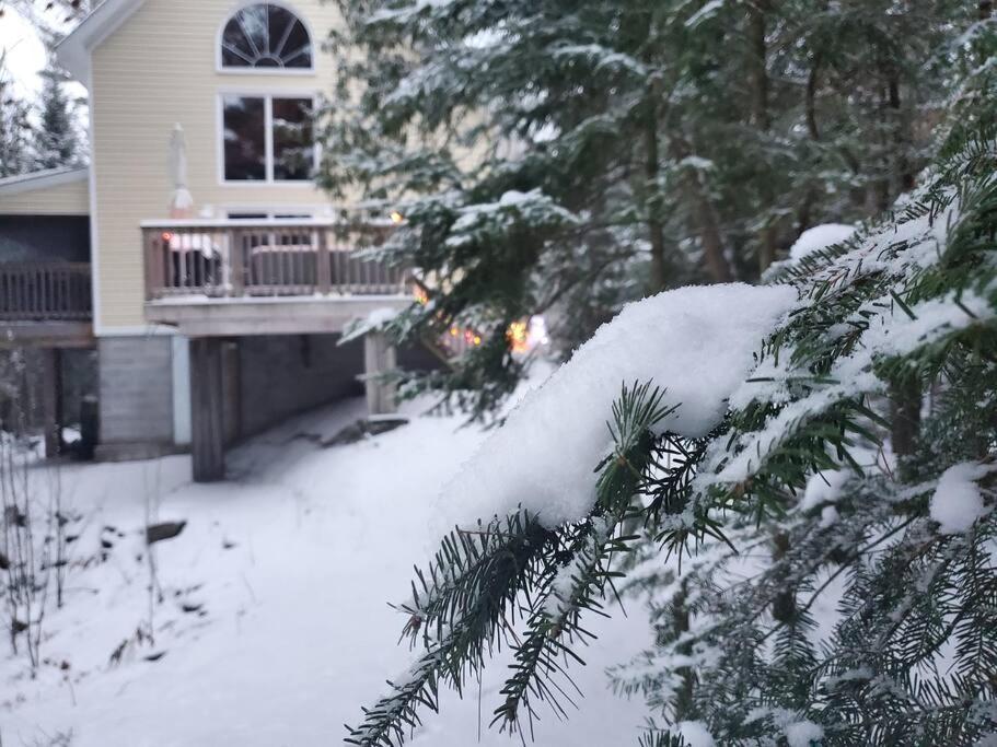 Luxurious Four Season lake front cottage in Kawarthas