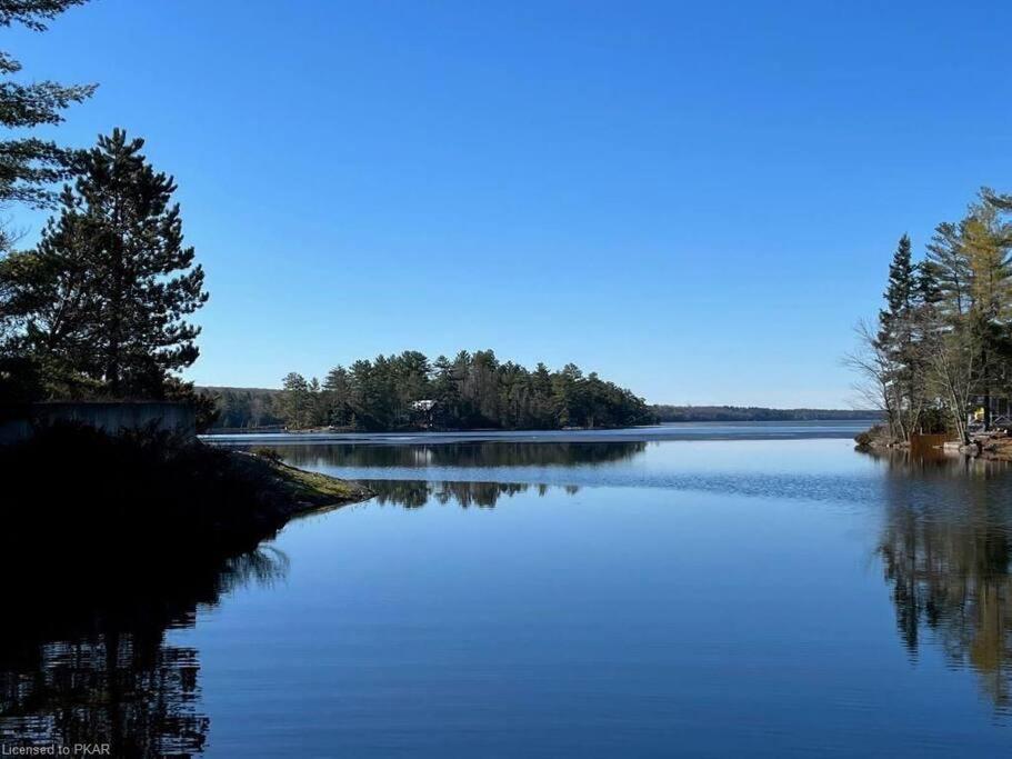 Luxurious Four Season lake front cottage in Kawarthas