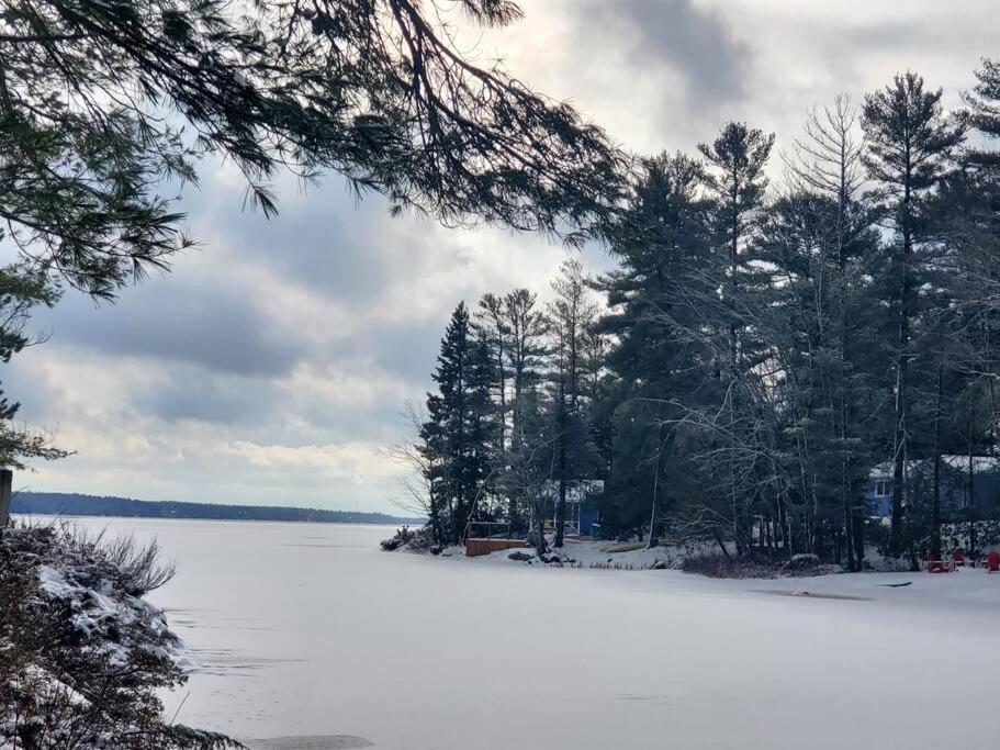 Luxurious Four Season lake front cottage in Kawarthas