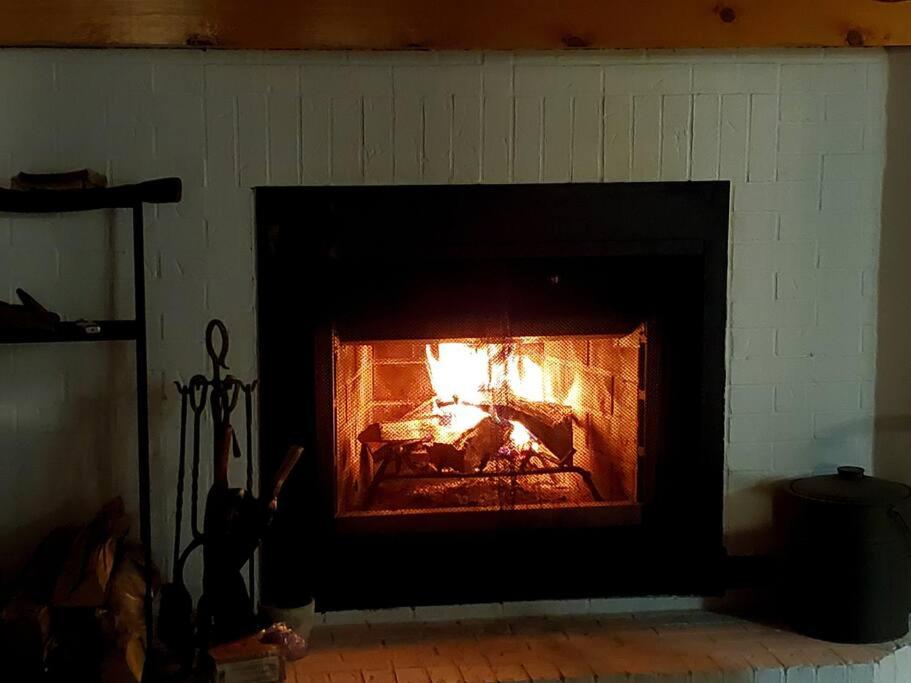 Luxurious Four Season lake front cottage in Kawarthas