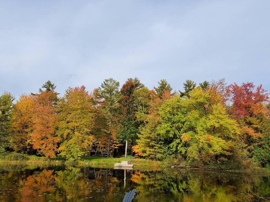 Luxurious Four Season lake front cottage in Kawarthas