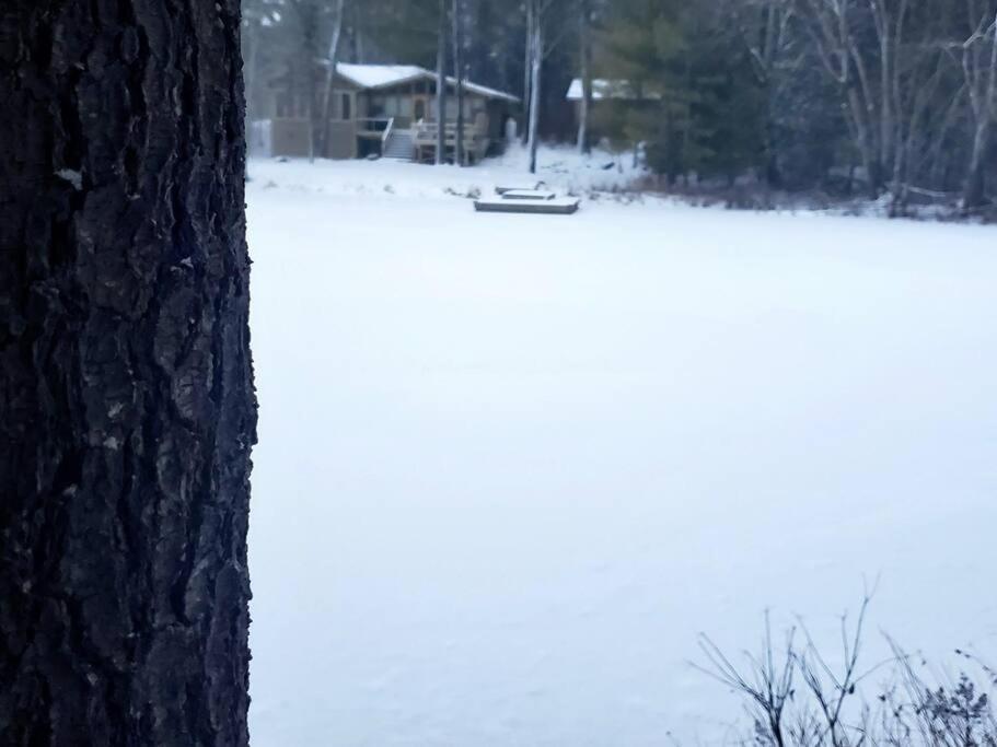 Luxurious Four Season lake front cottage in Kawarthas