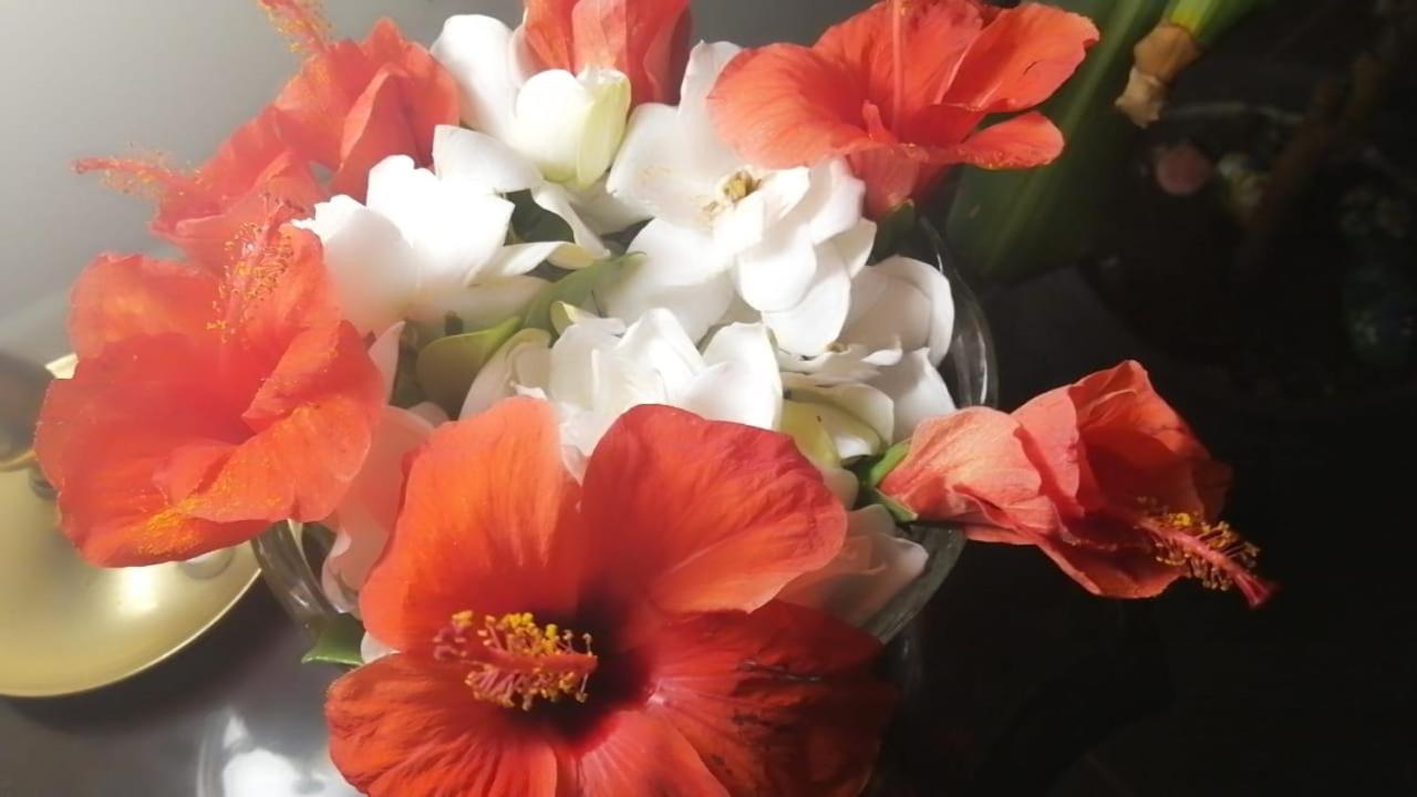 Photo 22