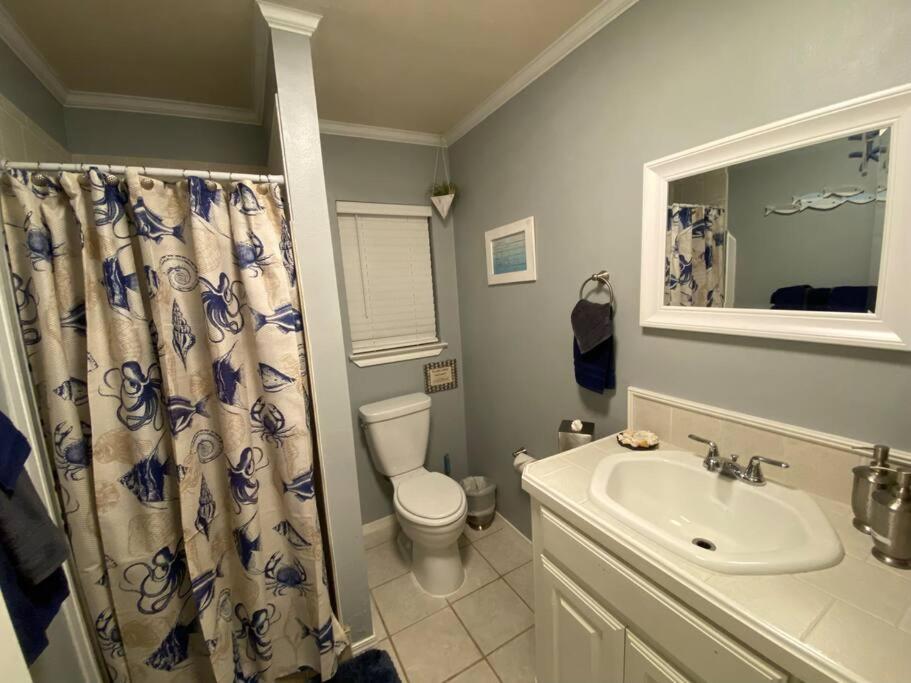 Photo 47