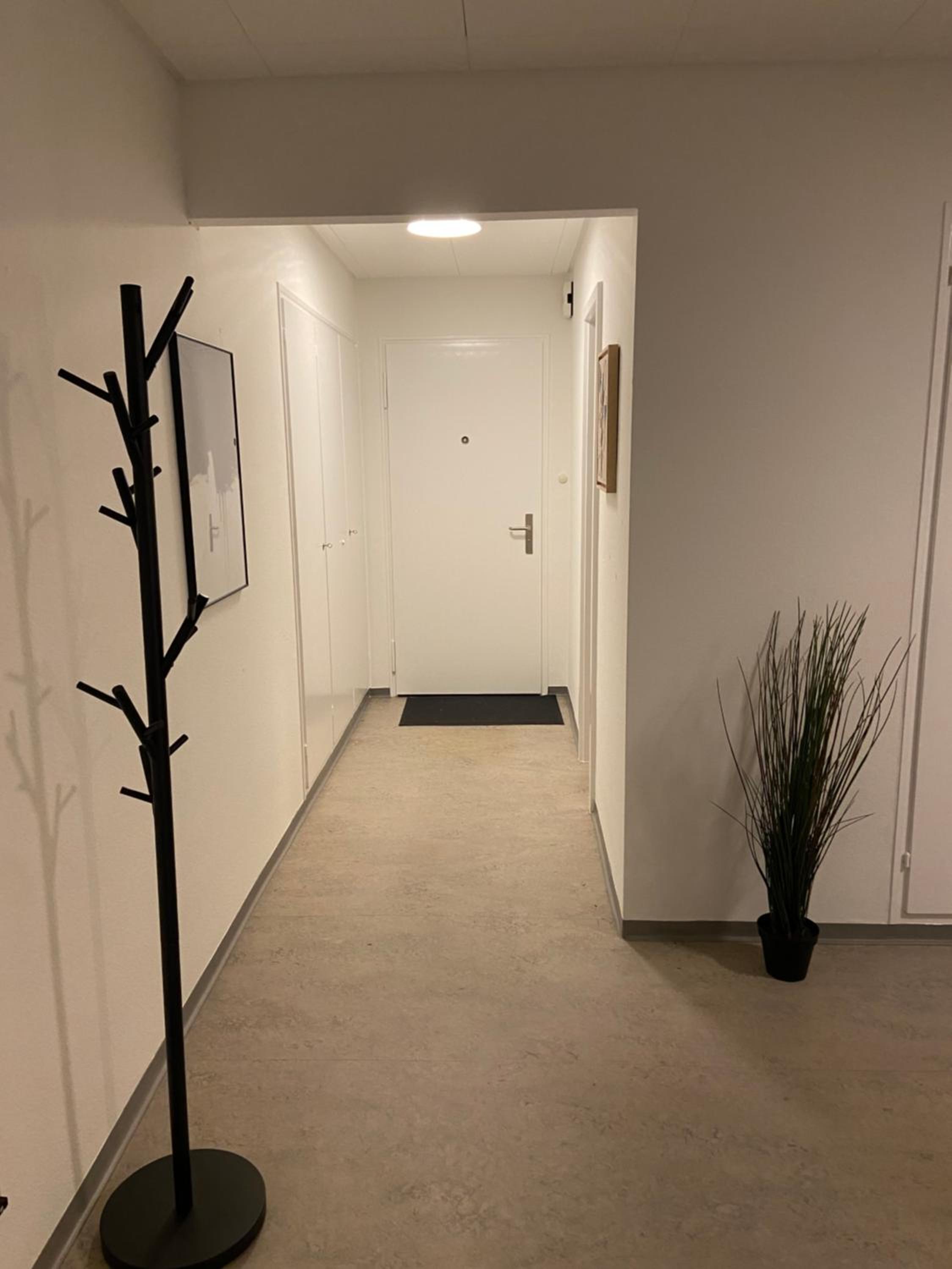 Comfort 1 and 2BDR Apartment close to Zurich Airport view 4