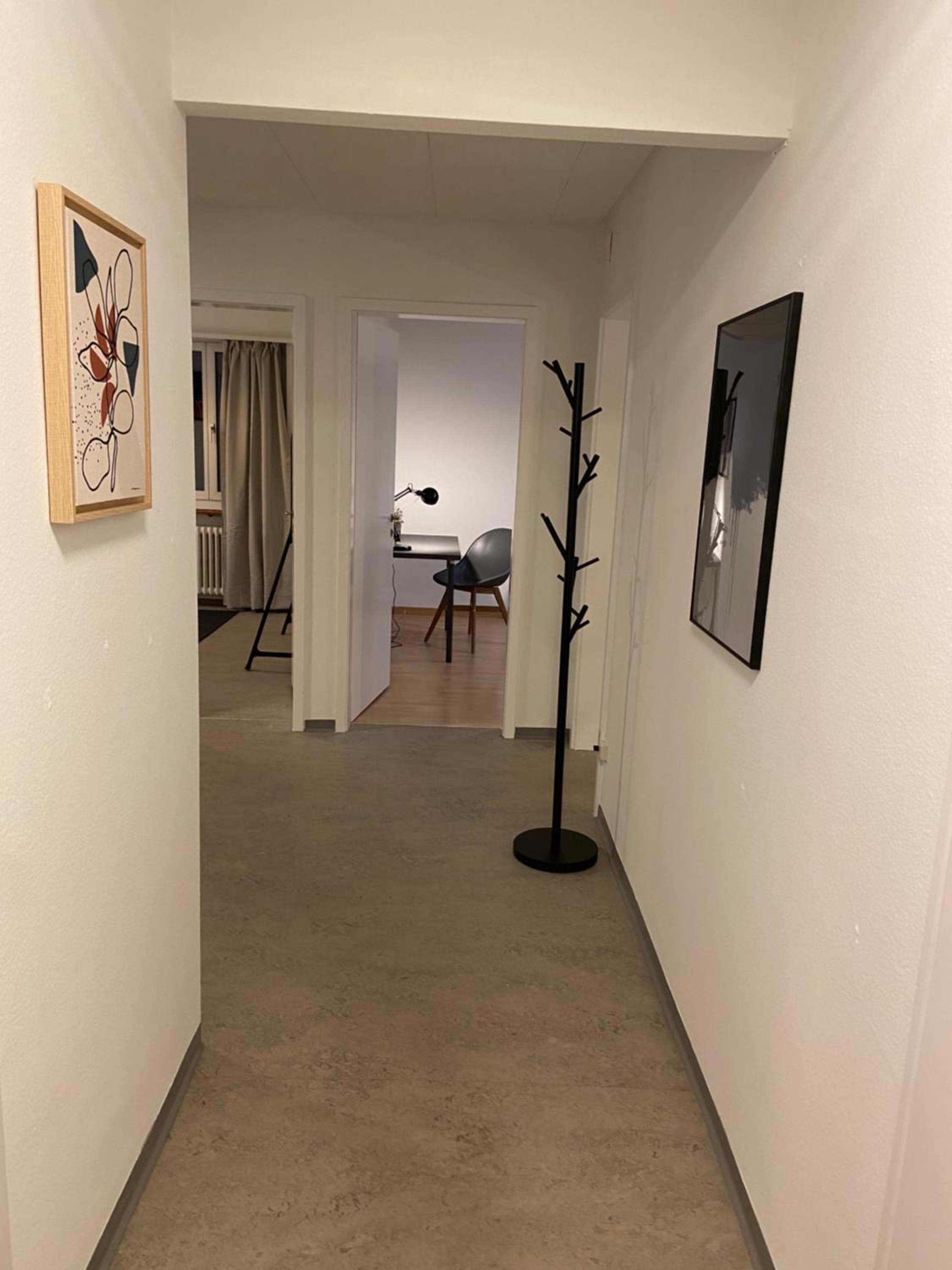 Comfort 1 and 2BDR Apartment close to Zurich Airport view 5