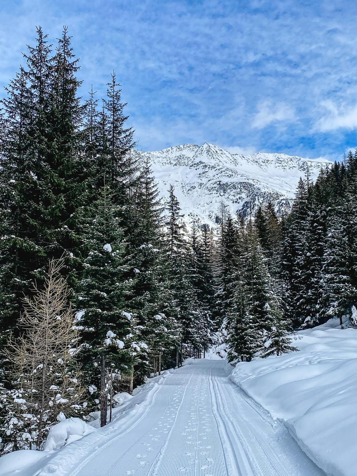 Alpenheim Simone
