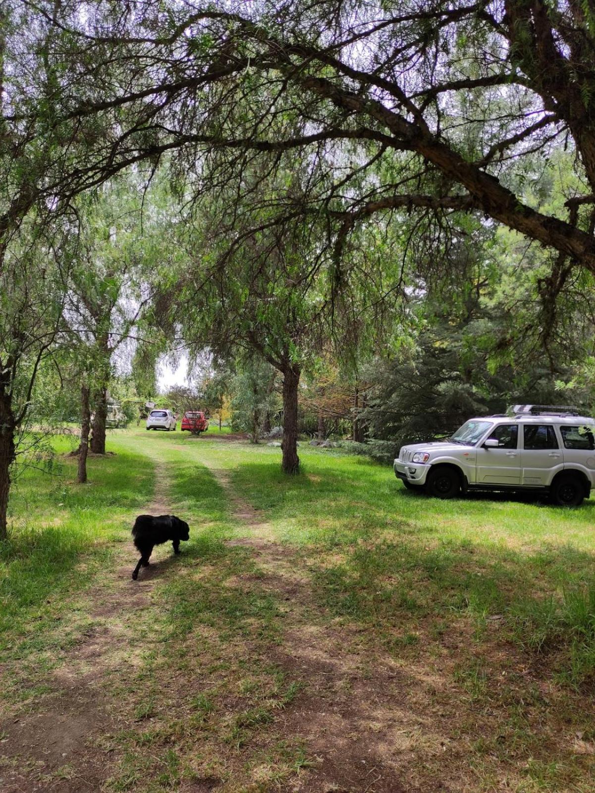 Photo 47