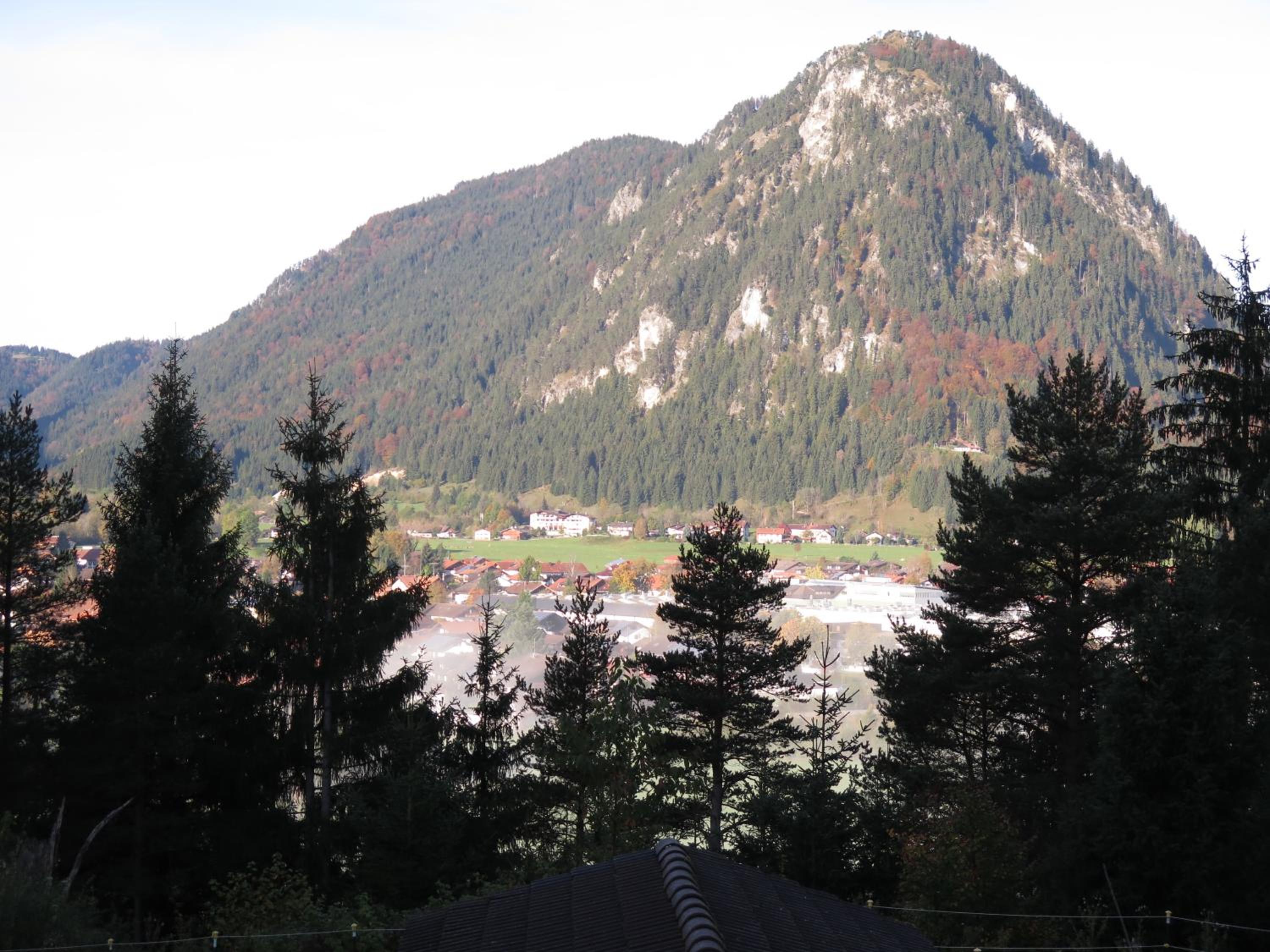 Photo 38