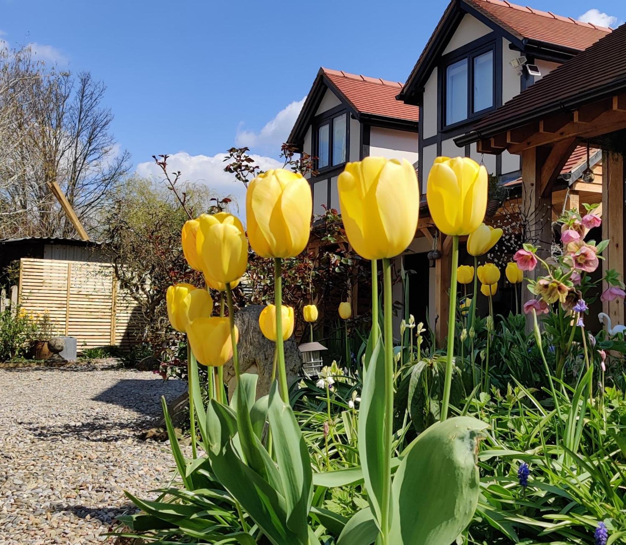 Delightful & Picturesque Modern Detached Apartment, Next to Chester Zoo, Near Park and Ride to City Centre view 2
