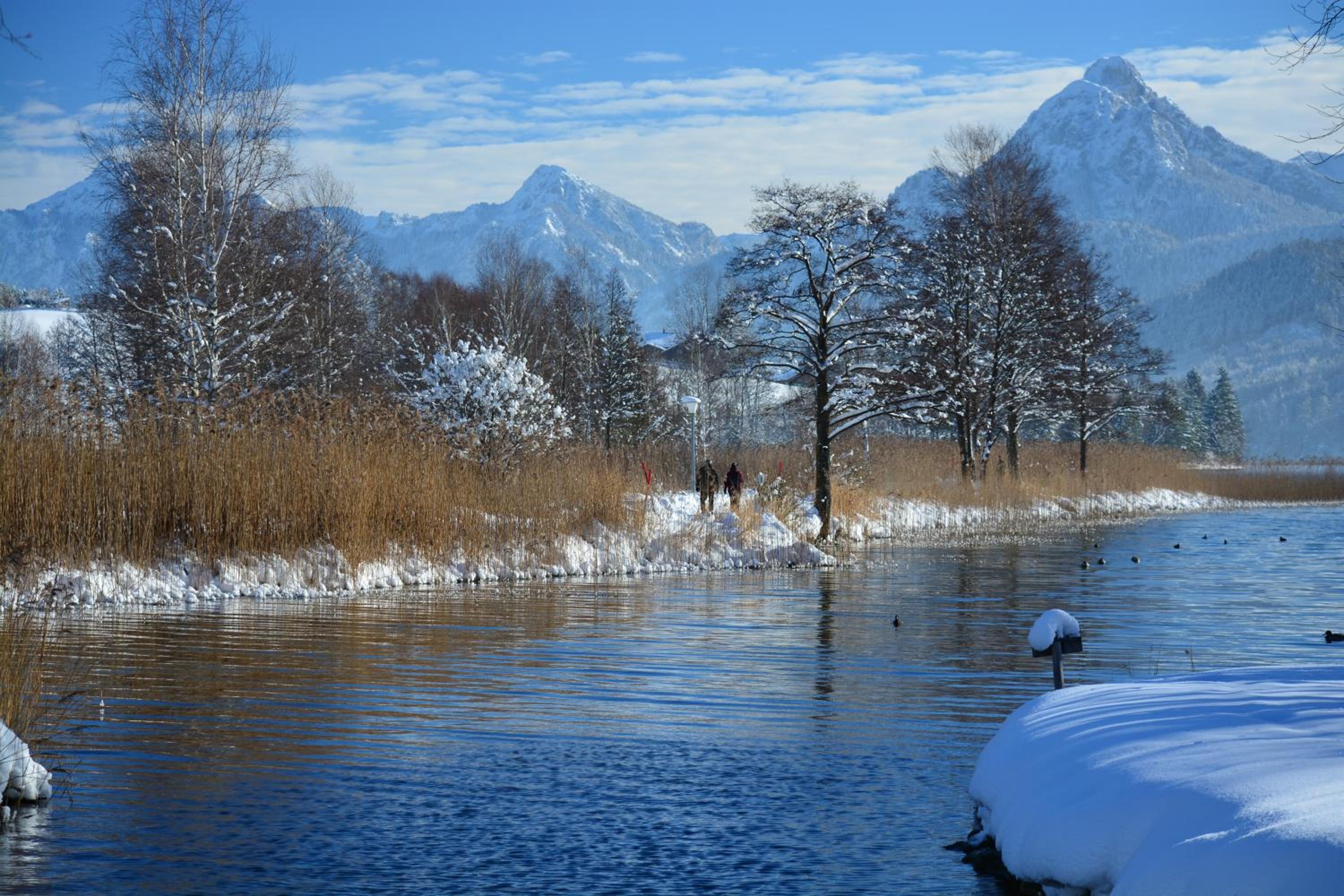 Photo 40
