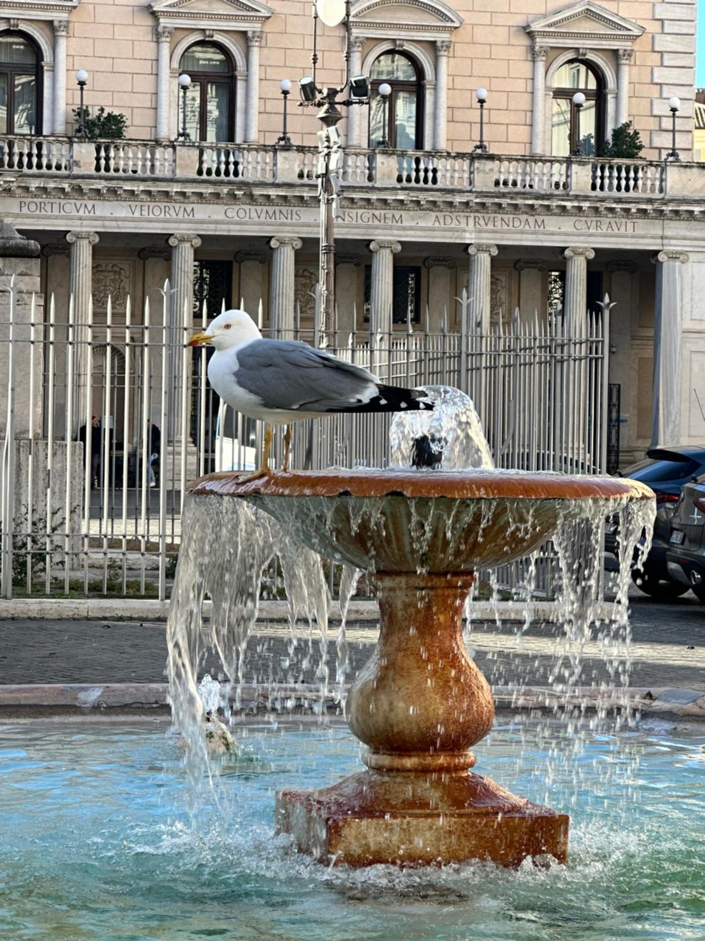 Pantheon Palazzo Nari