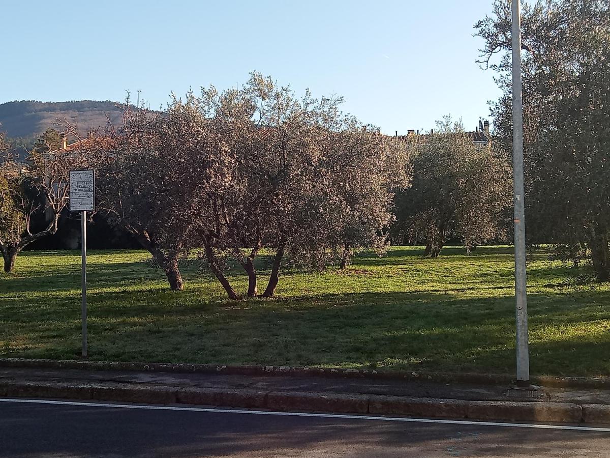 Residenza Relax Quinto Alto Sesto Fiorentino Firenze view 3