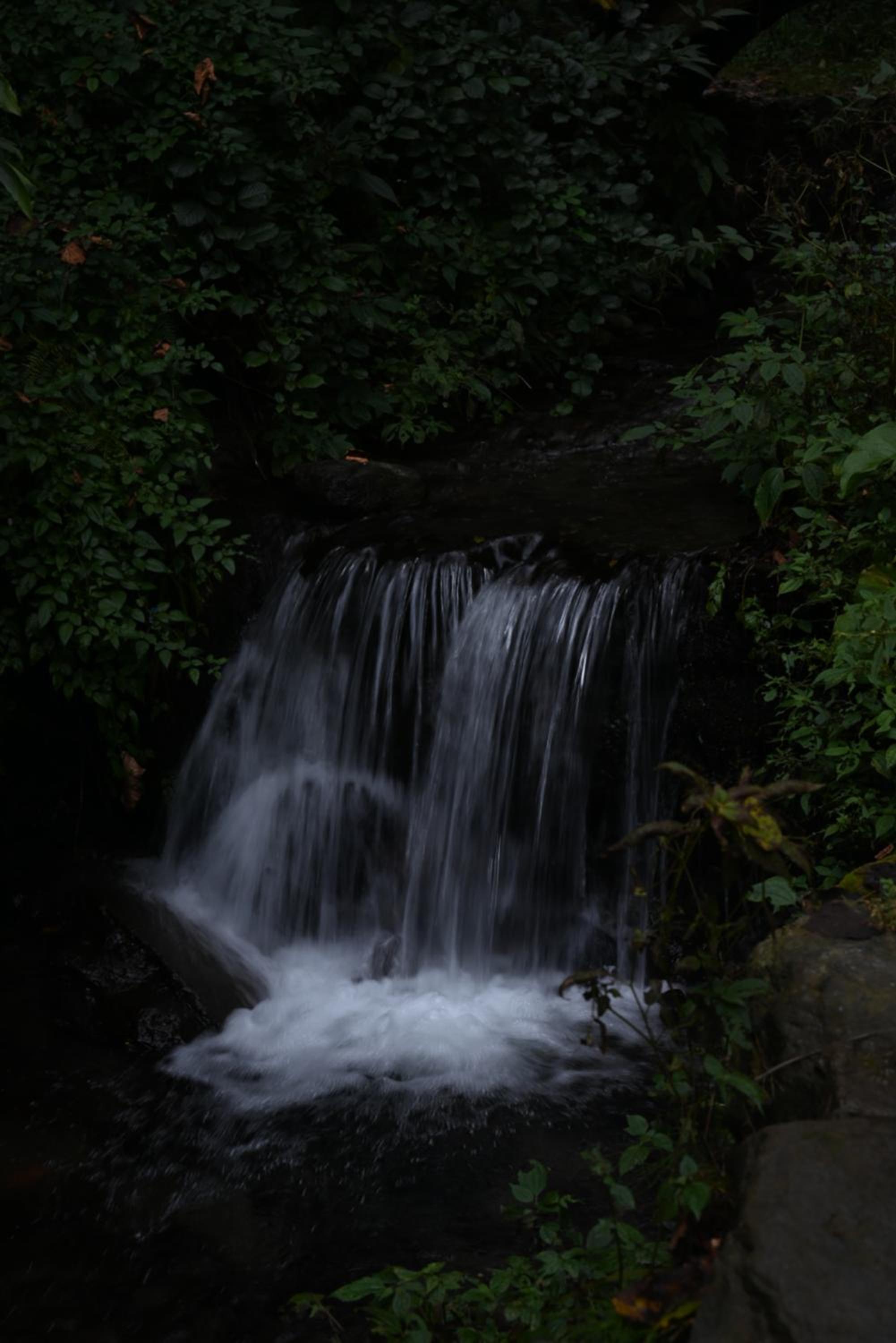 Photo 49