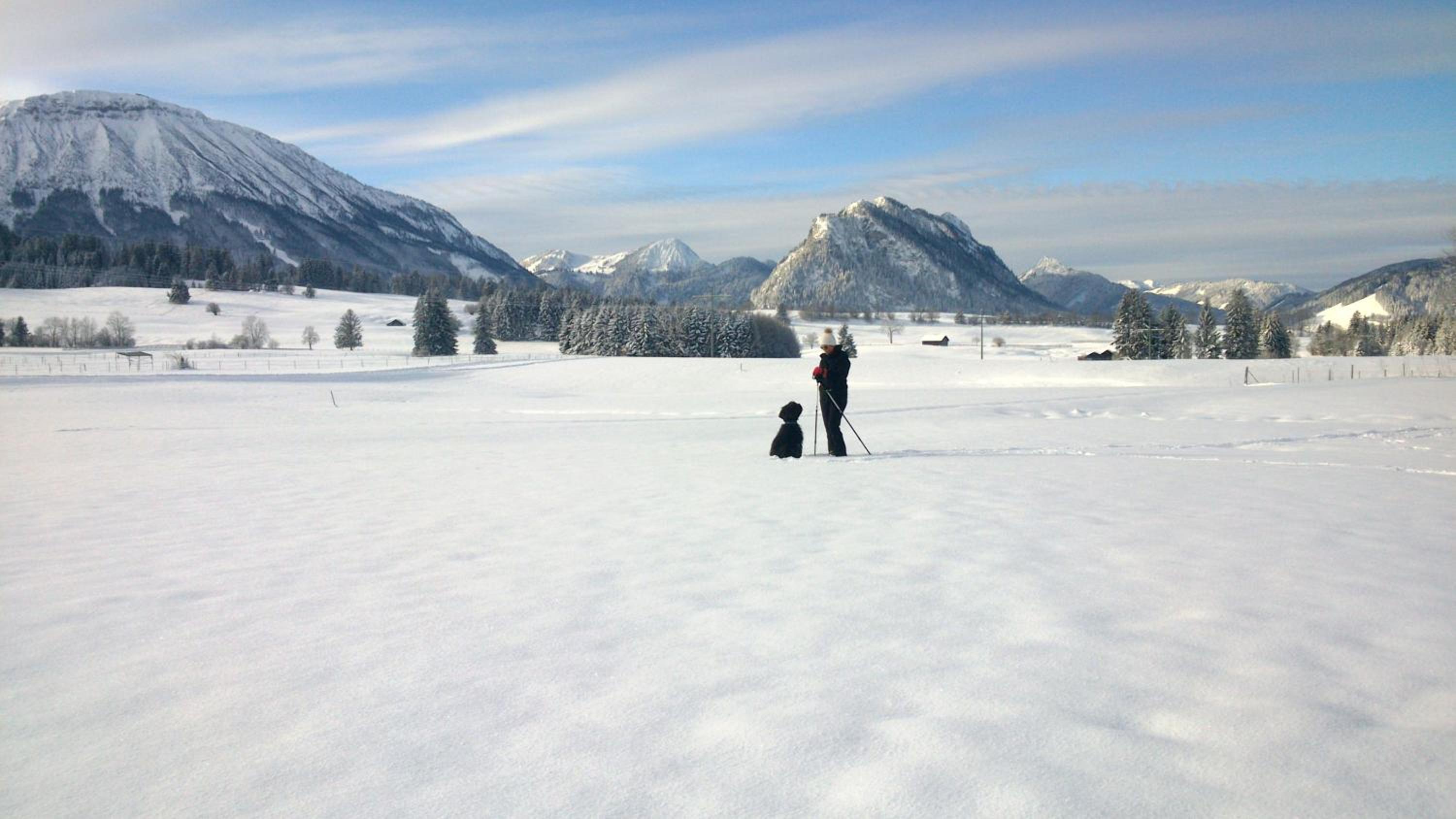 Photo 44