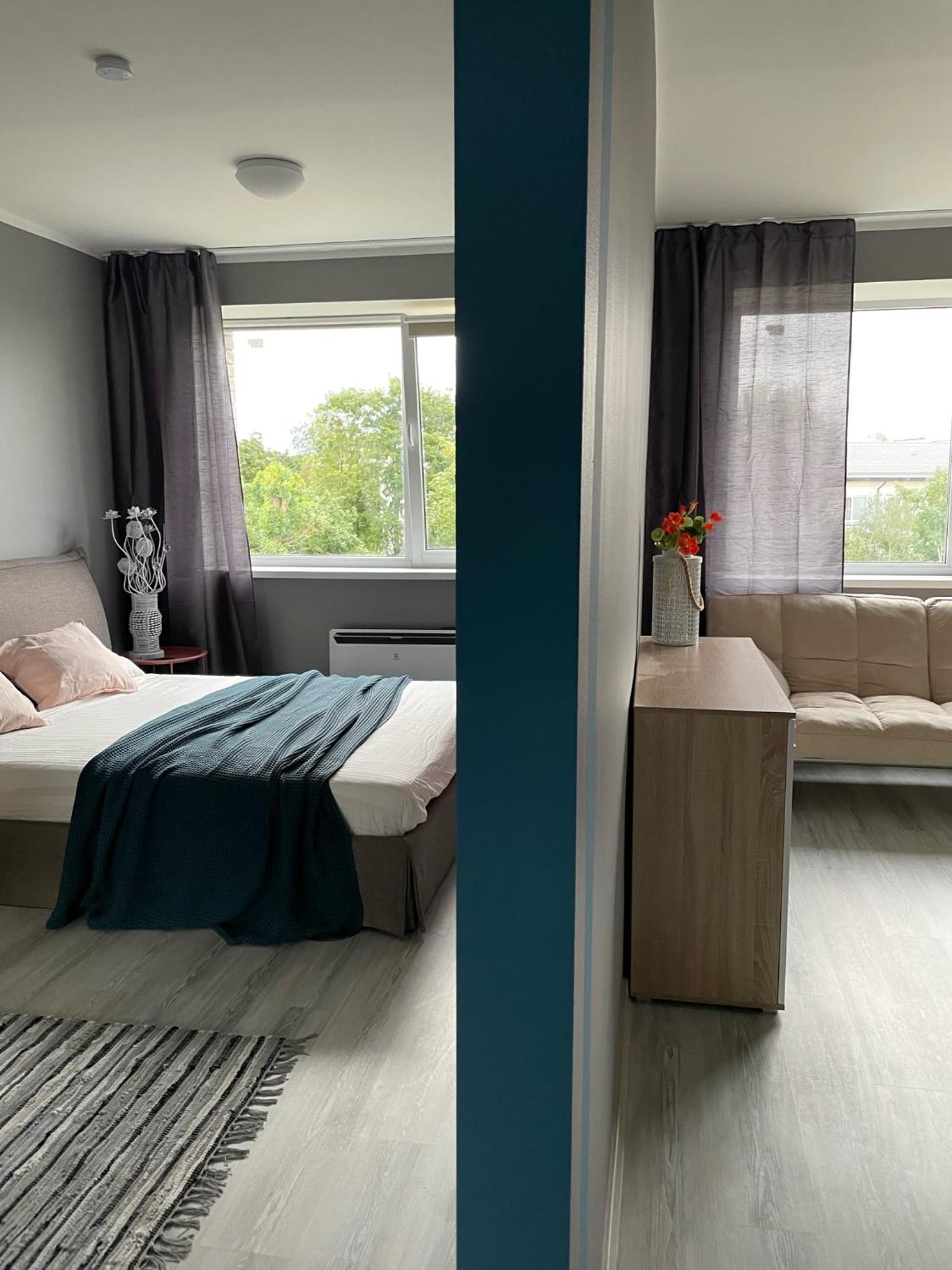 Light grey apartment in Maardu view 5