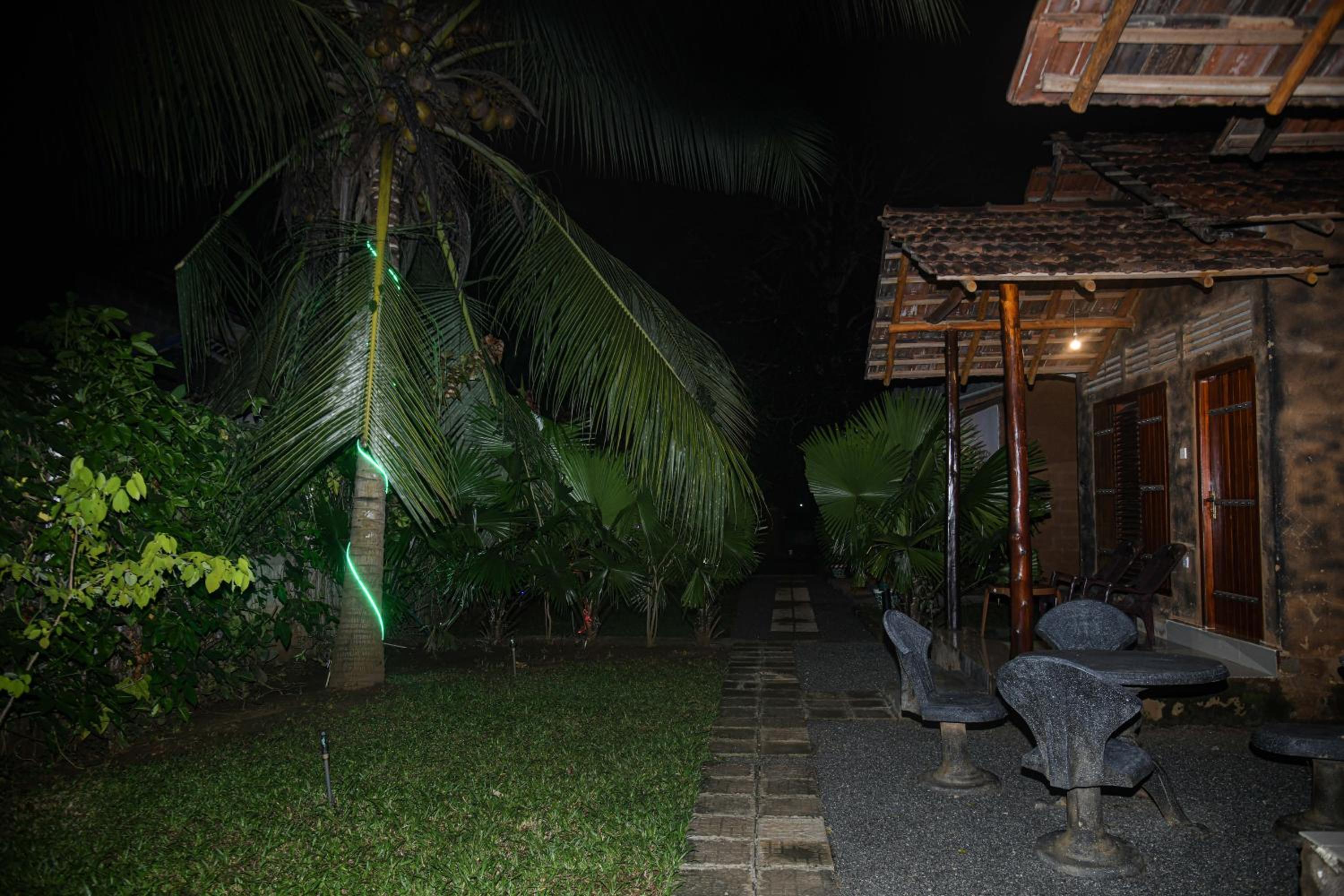 Photo 43