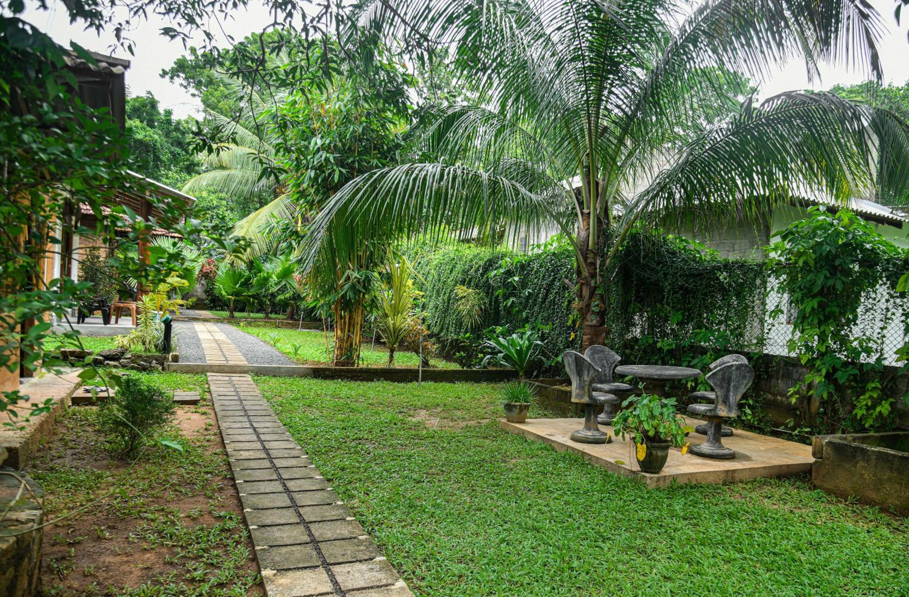 Clay House view 4