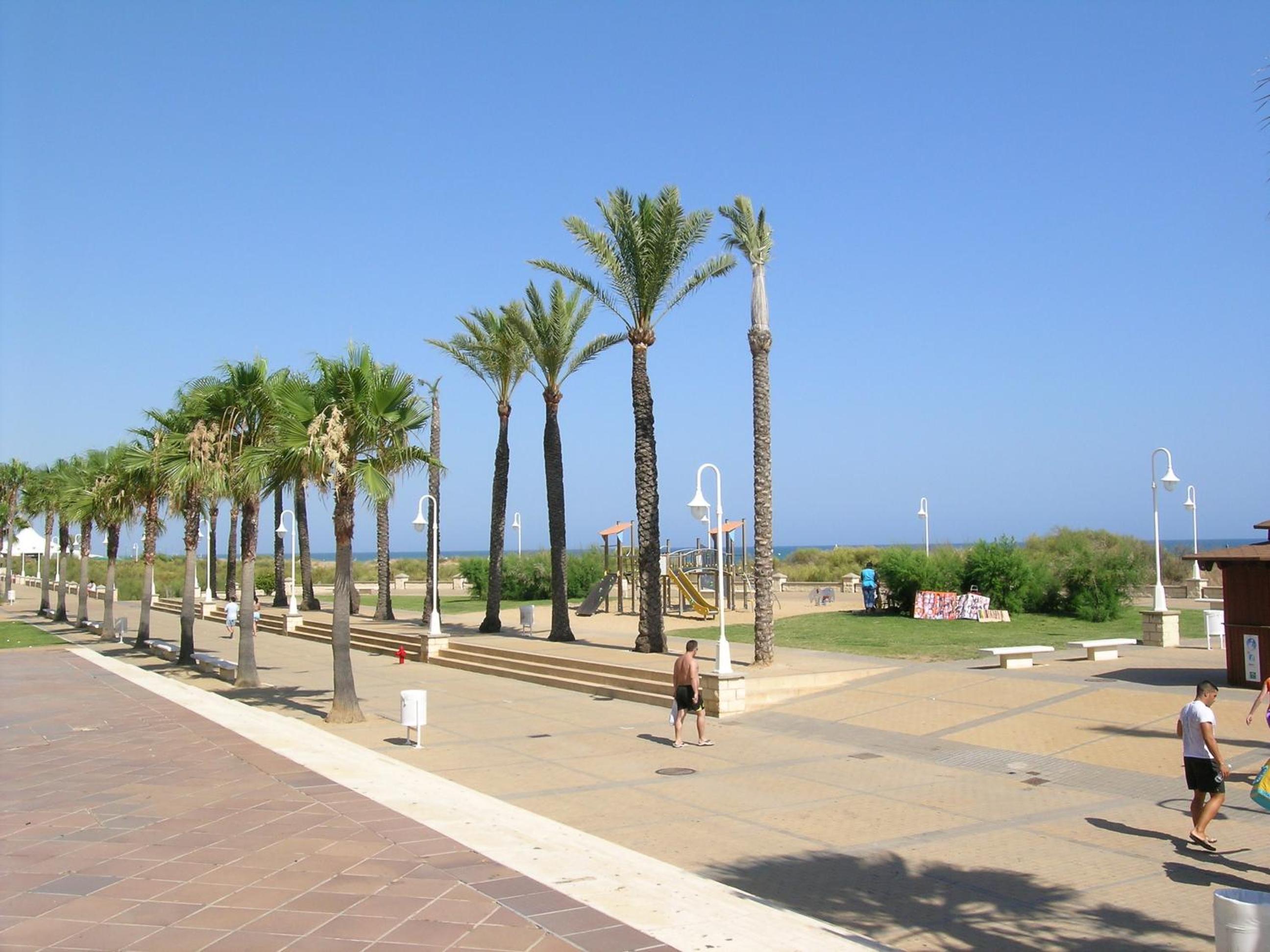 Photo 42