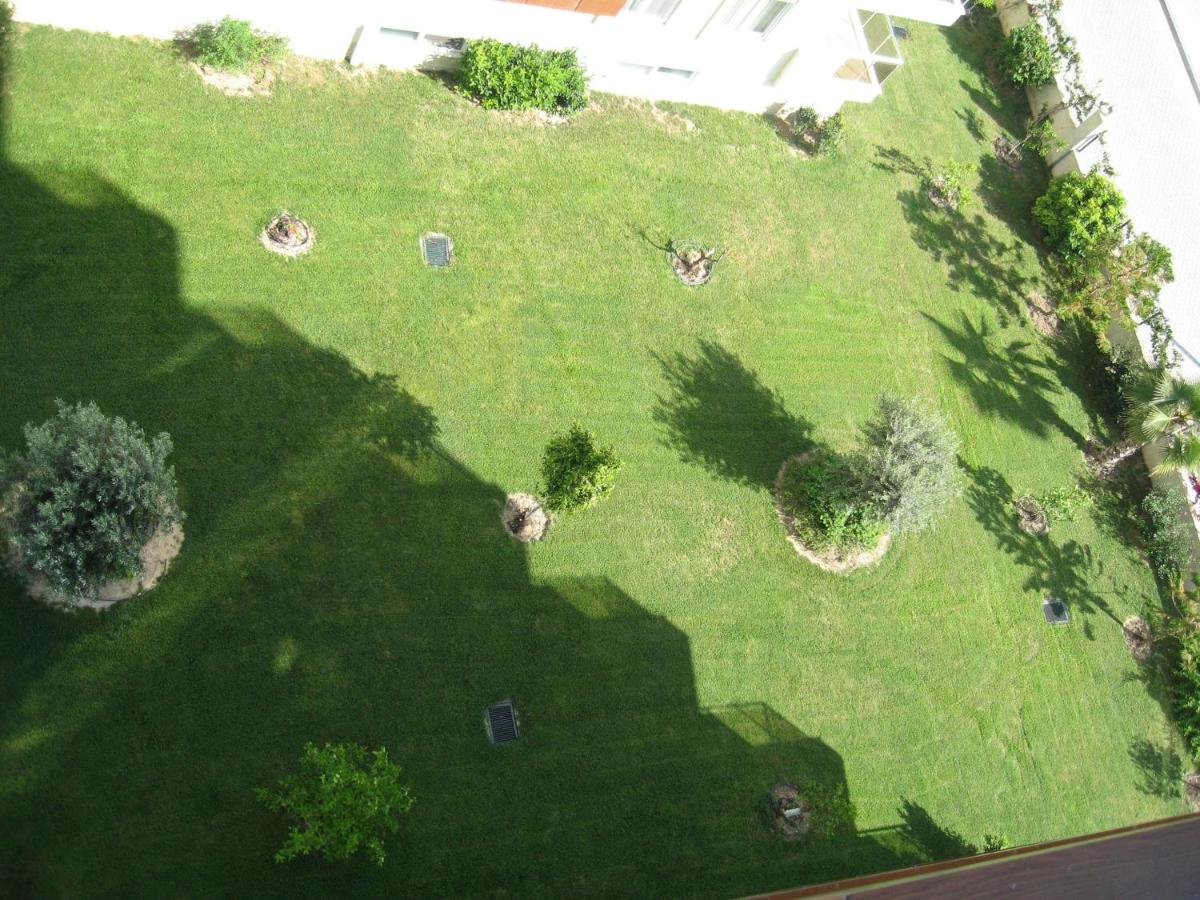 Photo 44