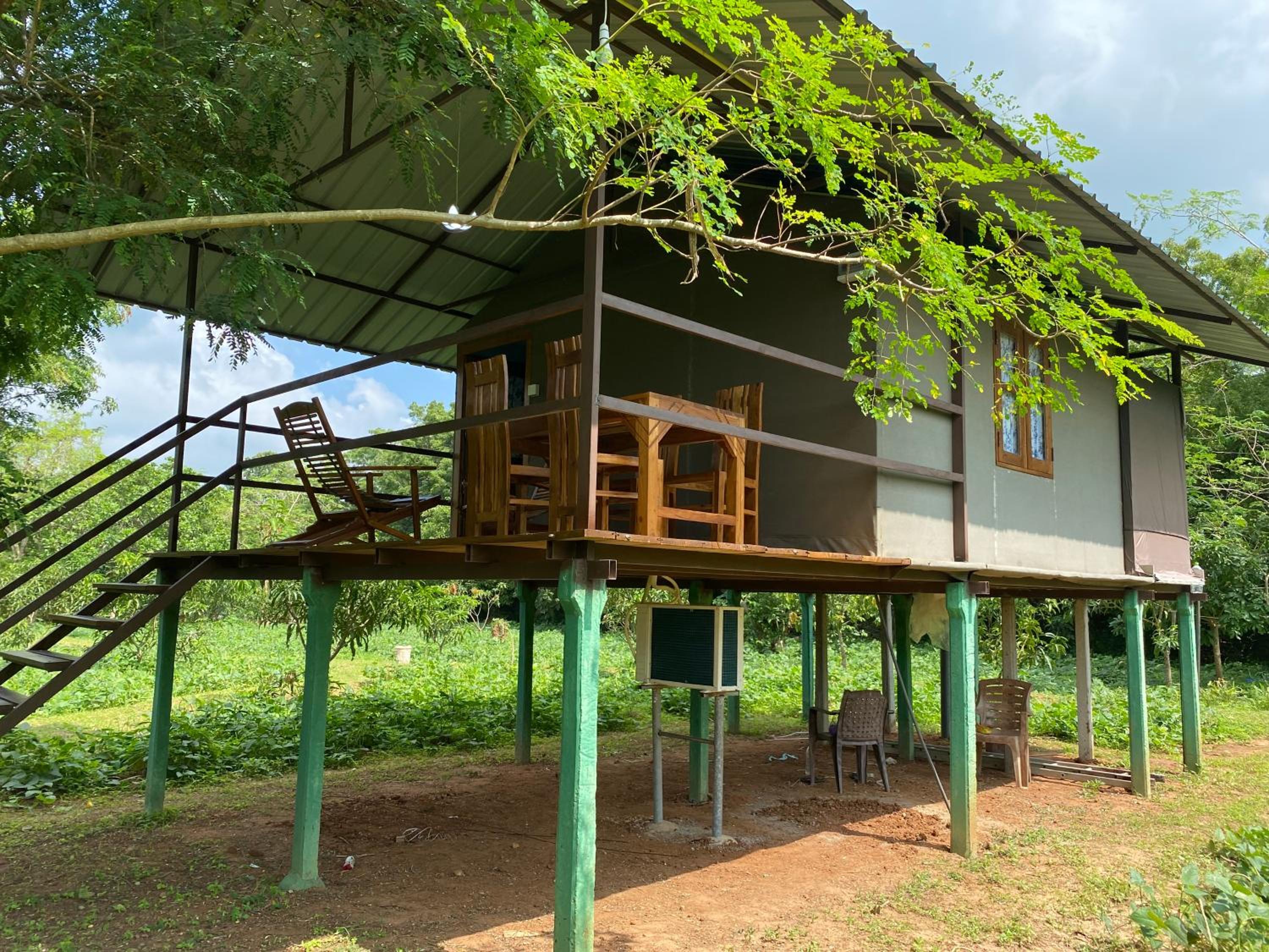 mango villa wilpattu