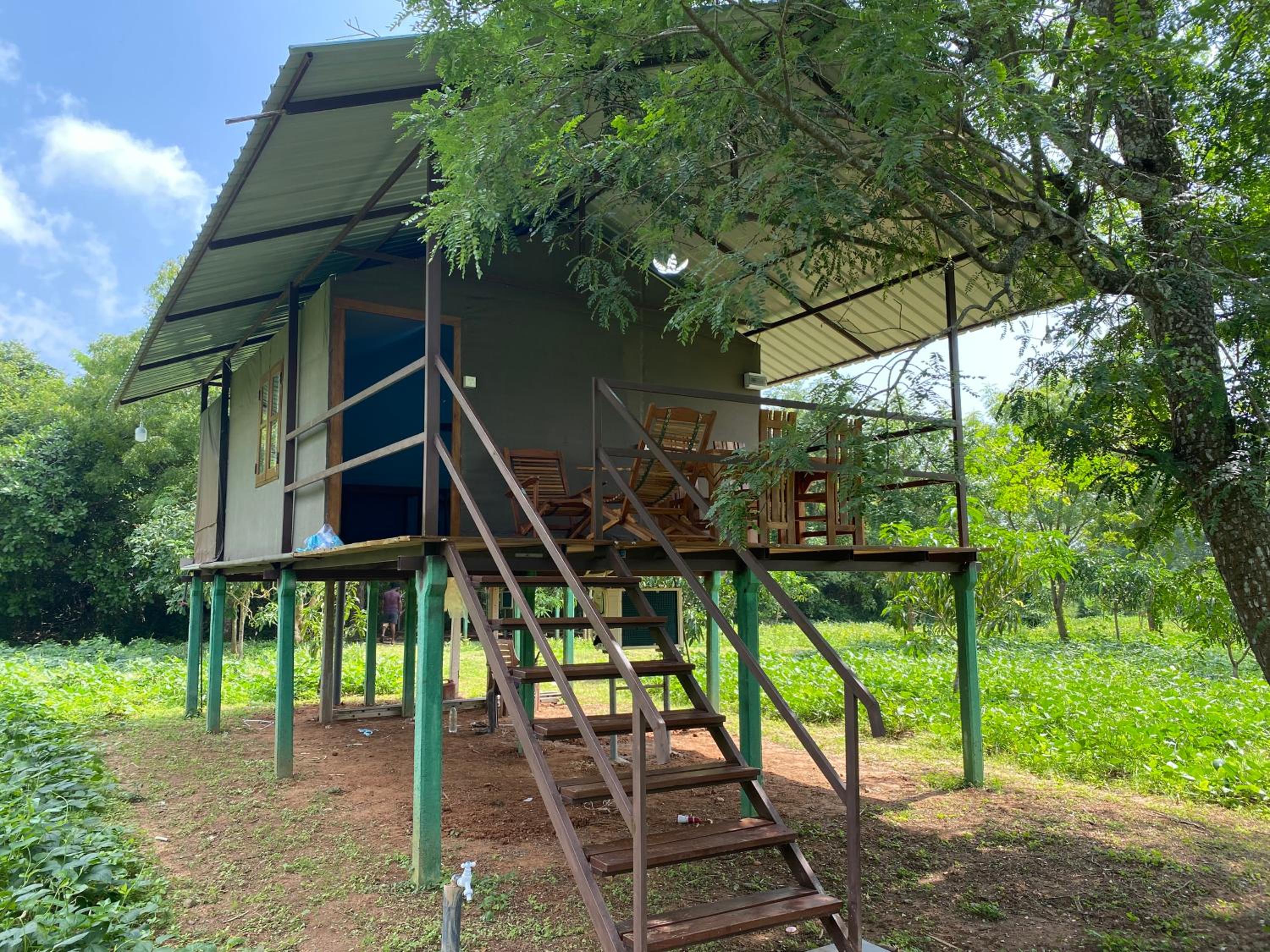 mango villa wilpattu