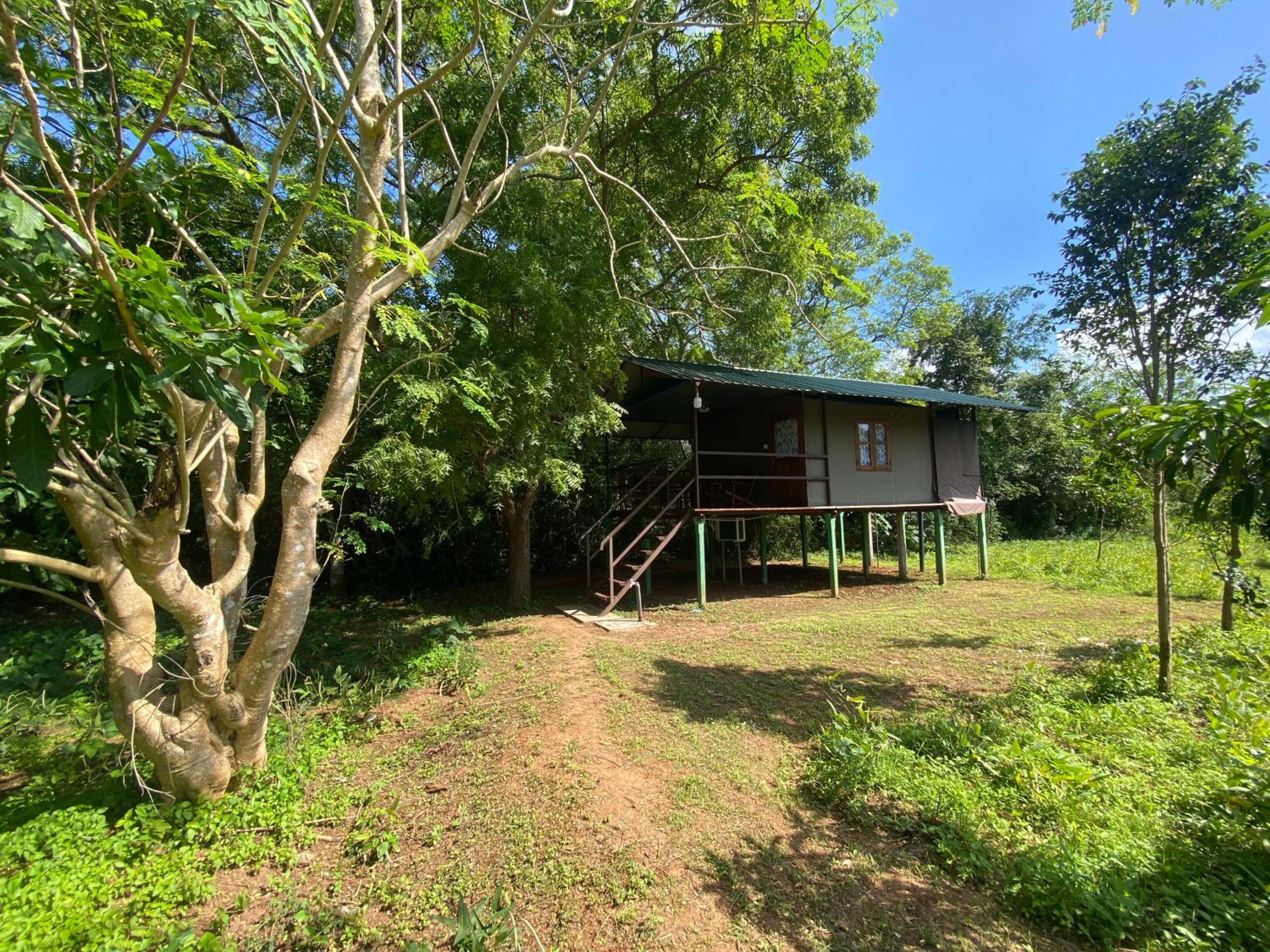 mango villa wilpattu