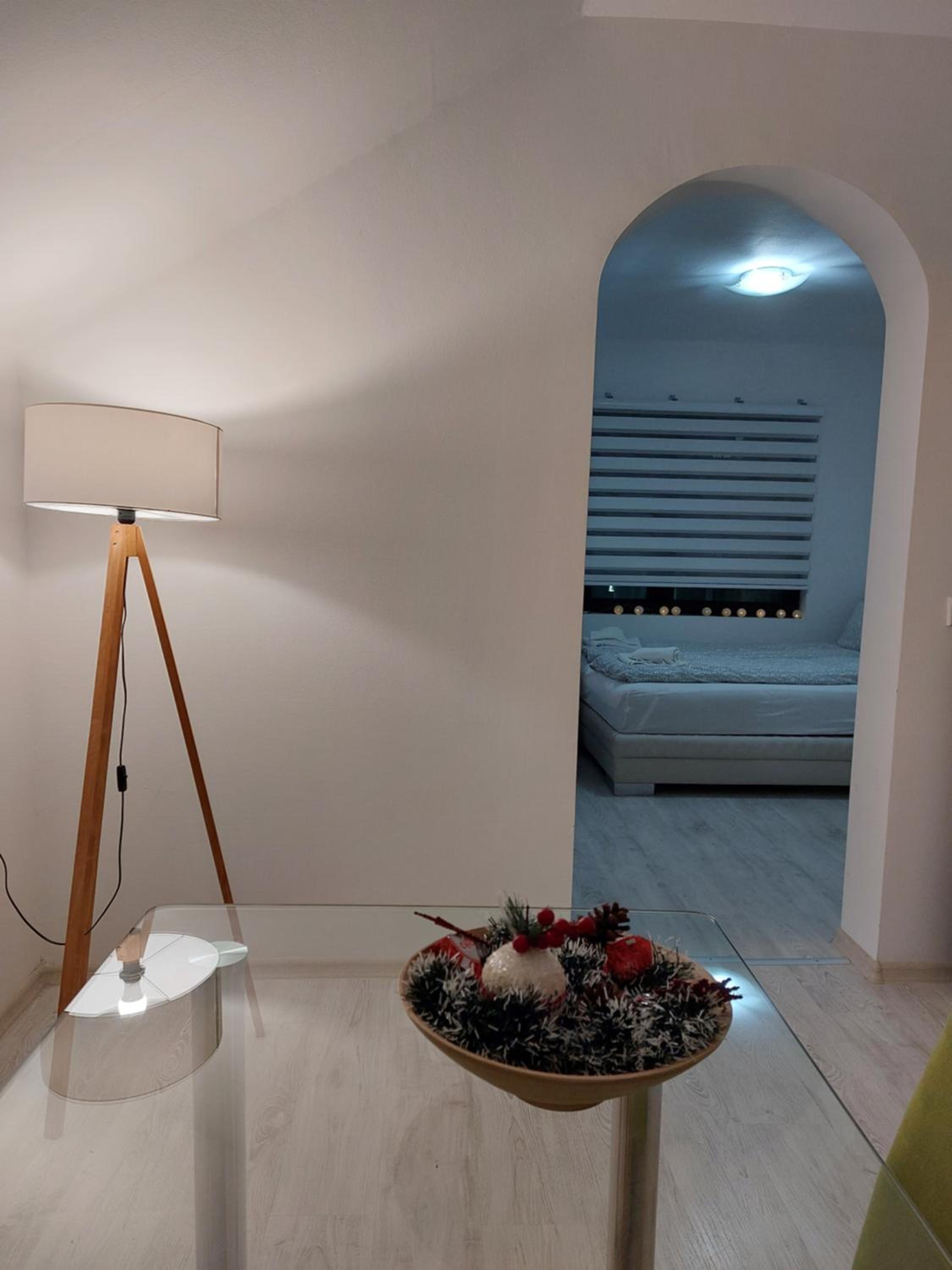 Studio Andrijana Sokobanja view 3