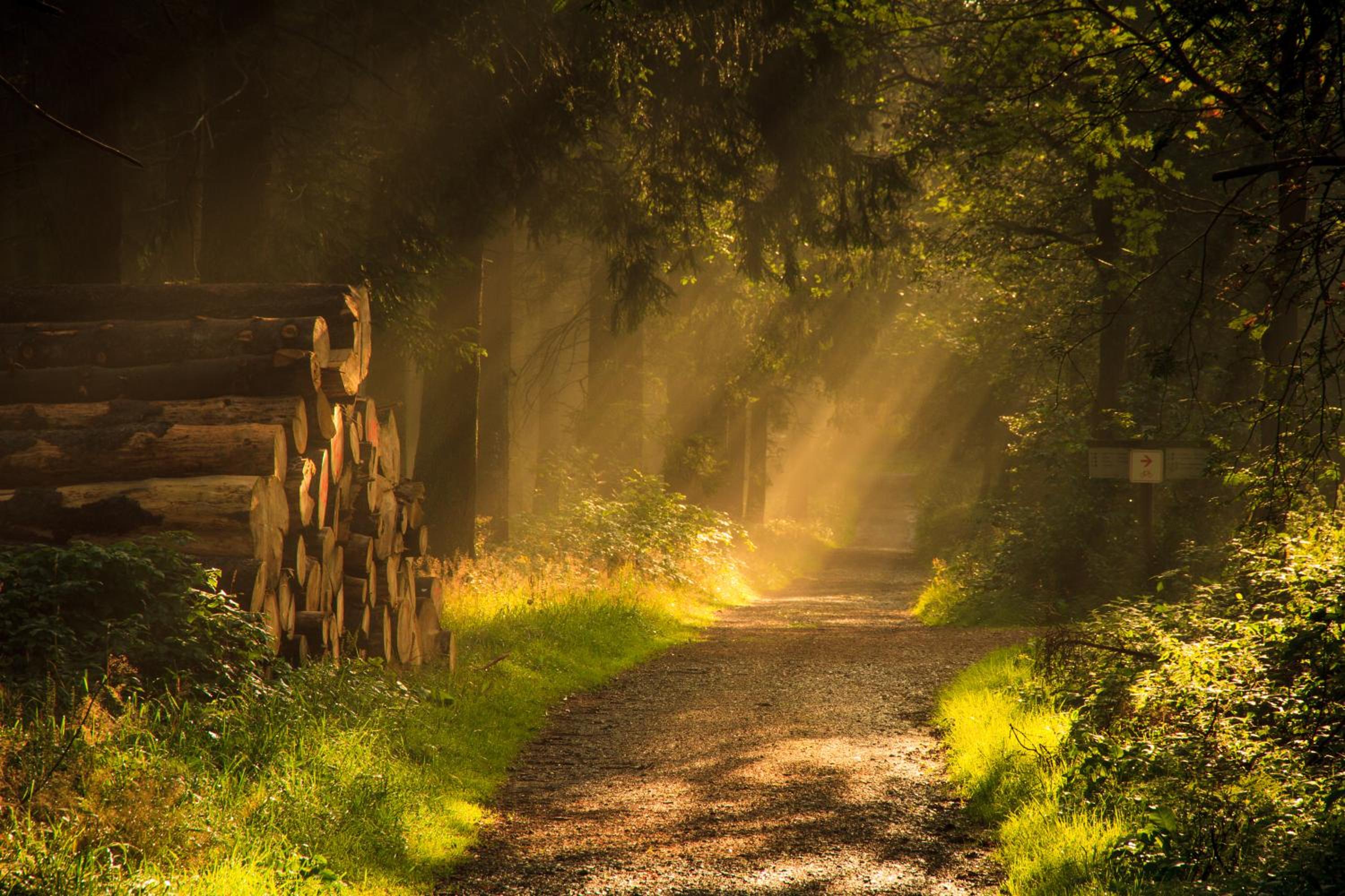 Sauerland-Häuschen Kleine Auszeit