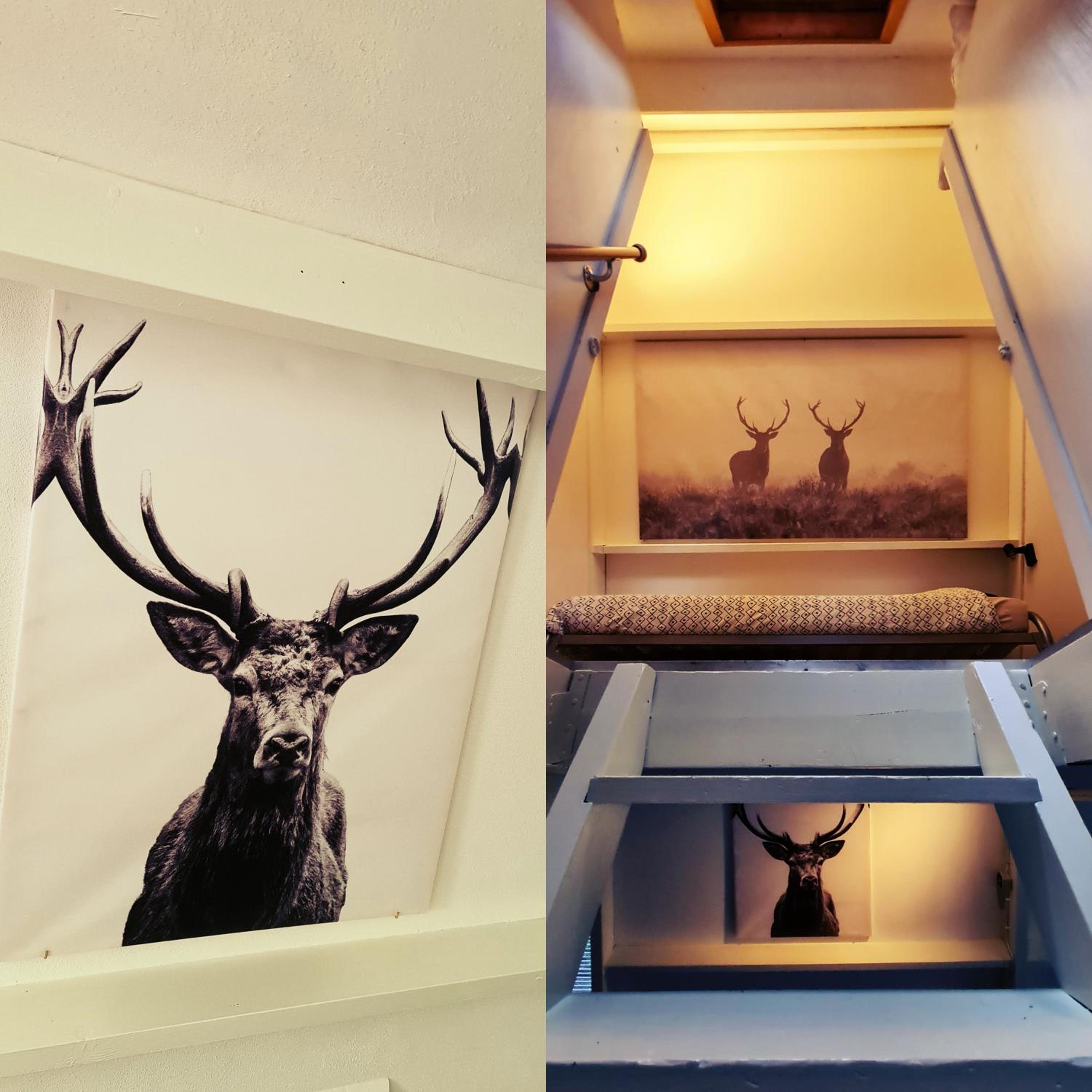 The Deer Lodge Durbuy