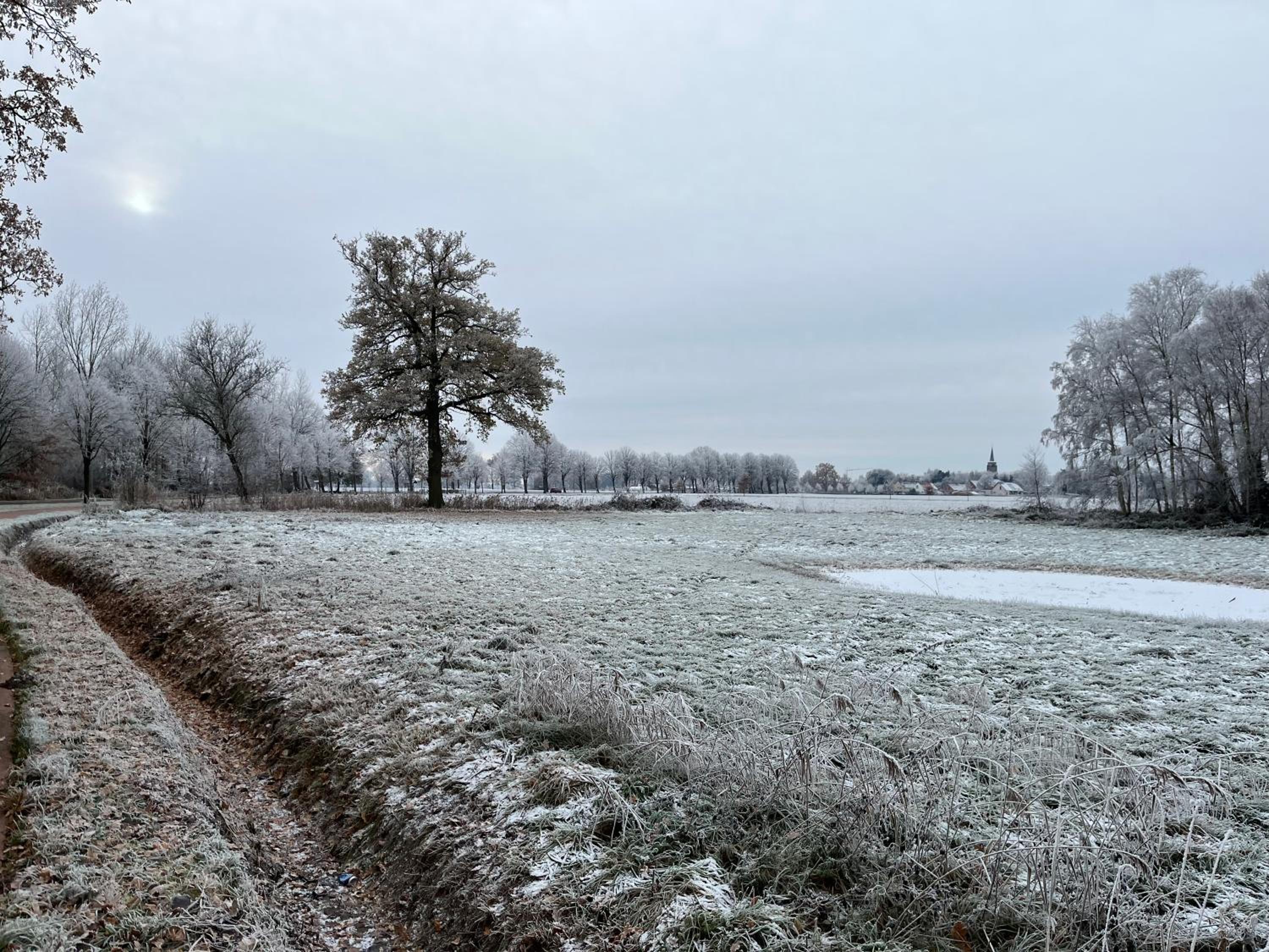 Sfeervol familielandhuis in de groene Kempen