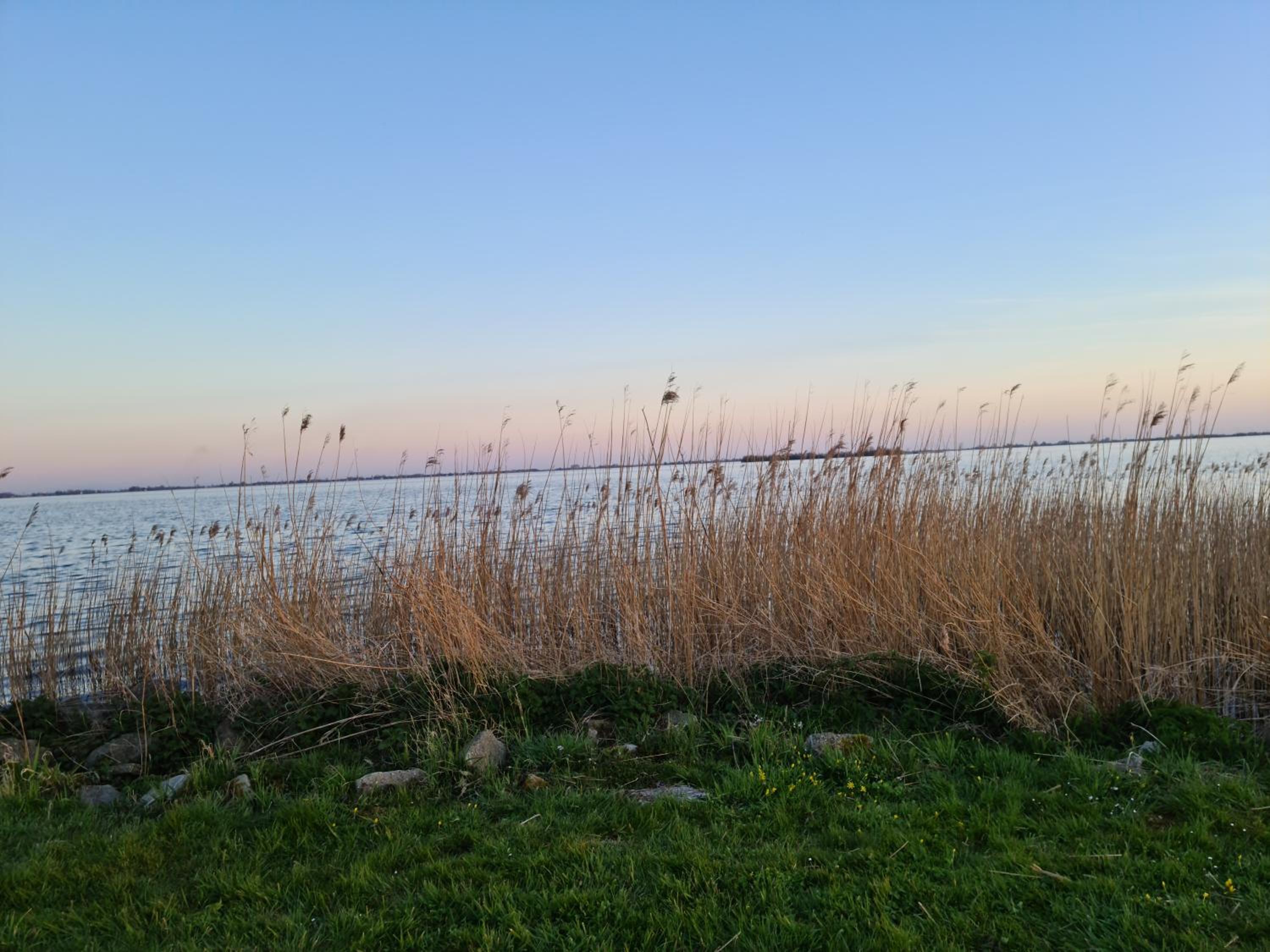 Sweet home