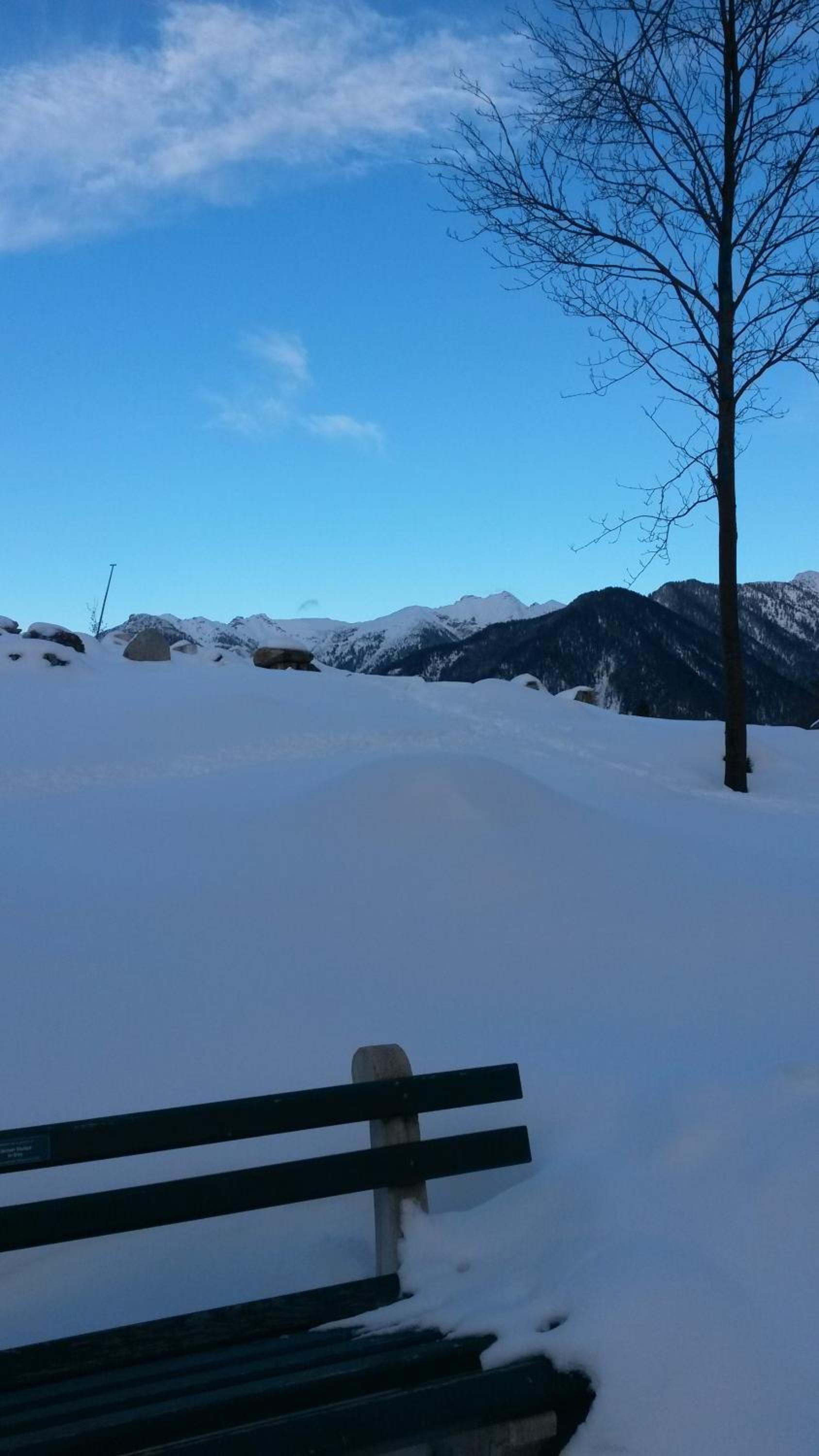 Alpenappartements Schwalbennestl