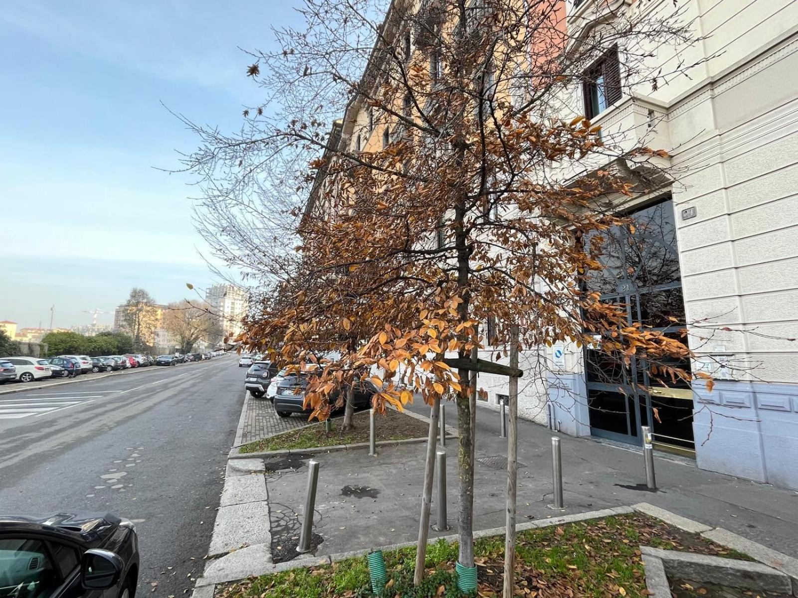 The Small White House In Milan