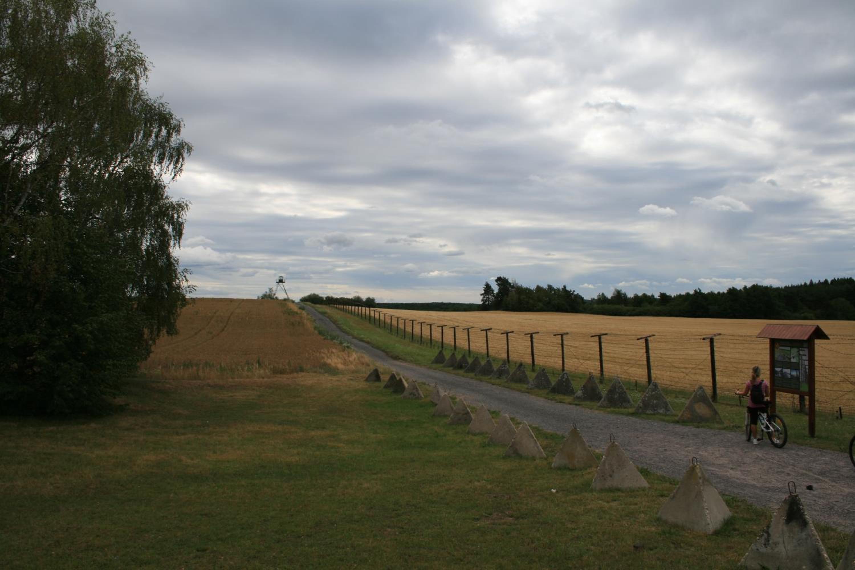 Photo 44