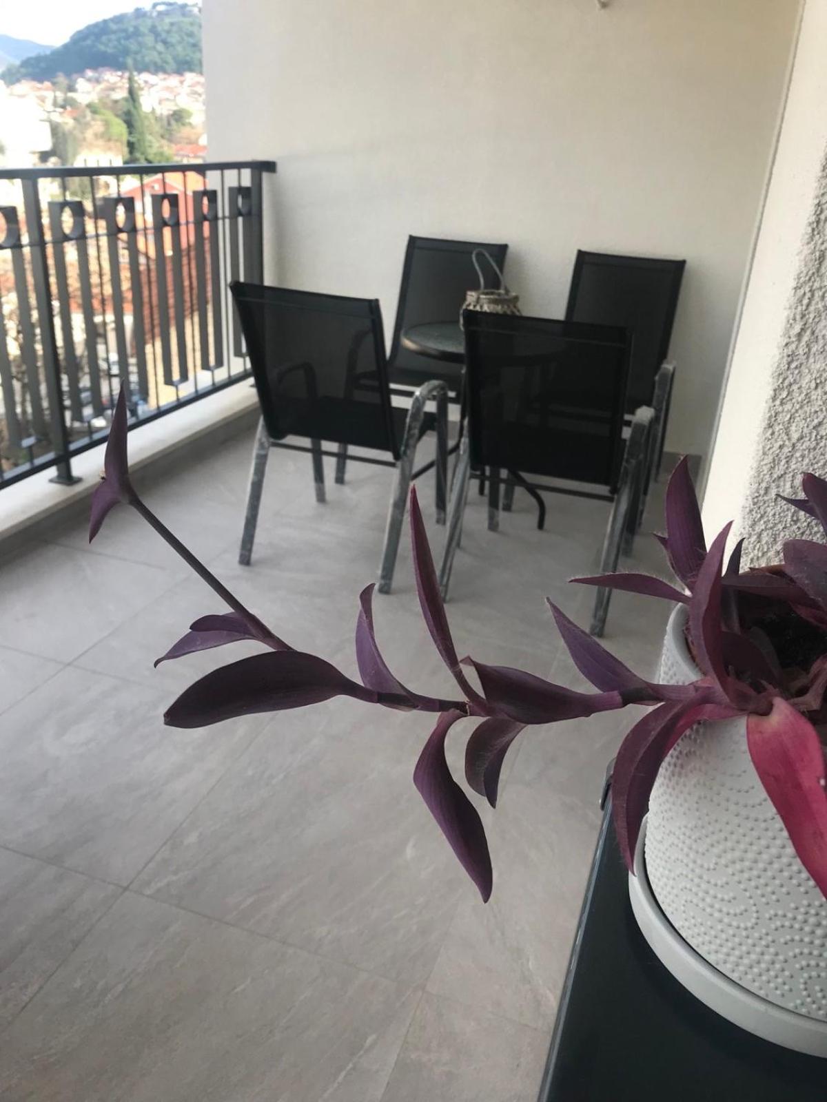 Apartman PORTO