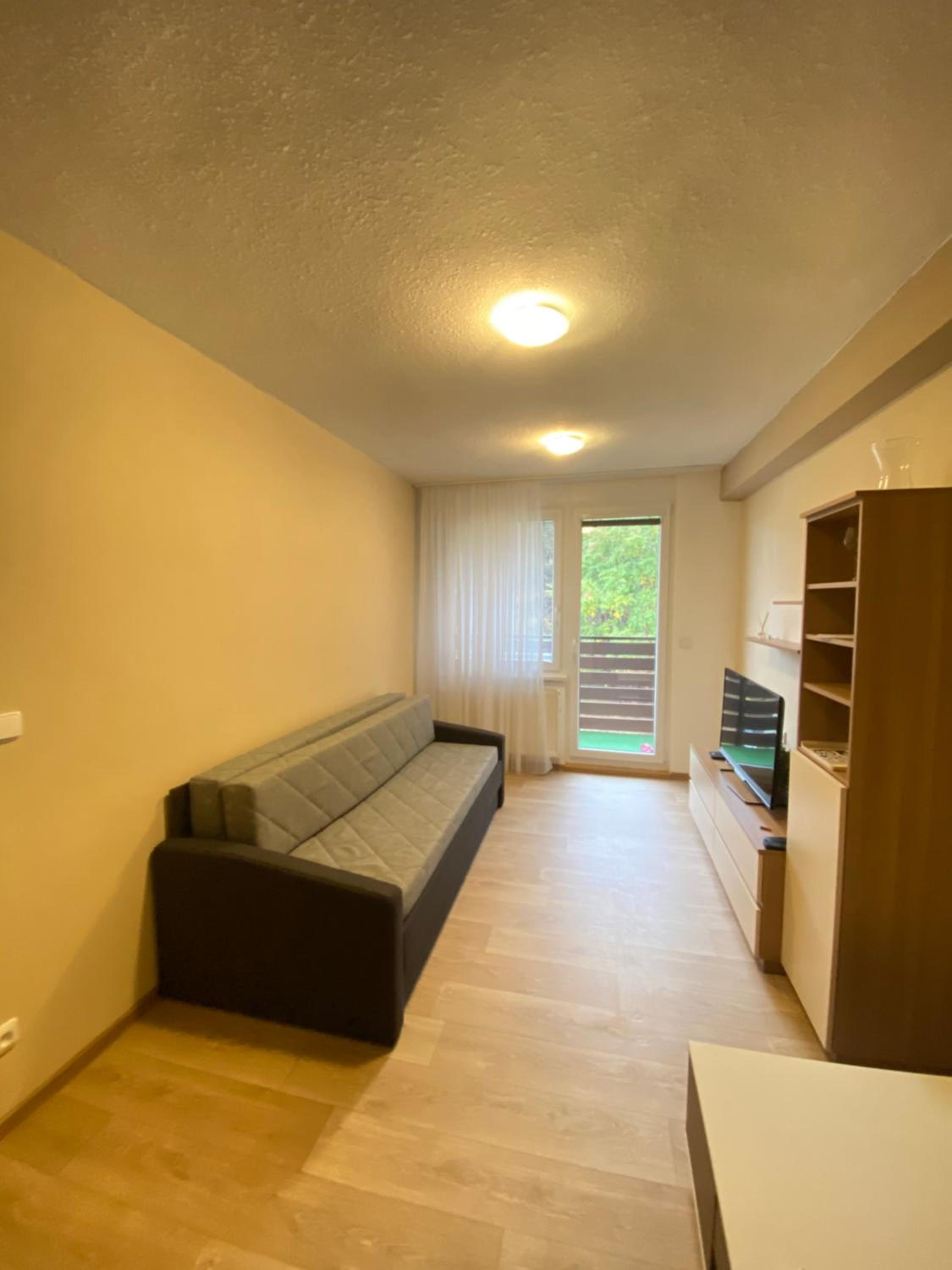 Apartmán na kraji lesa Všemina