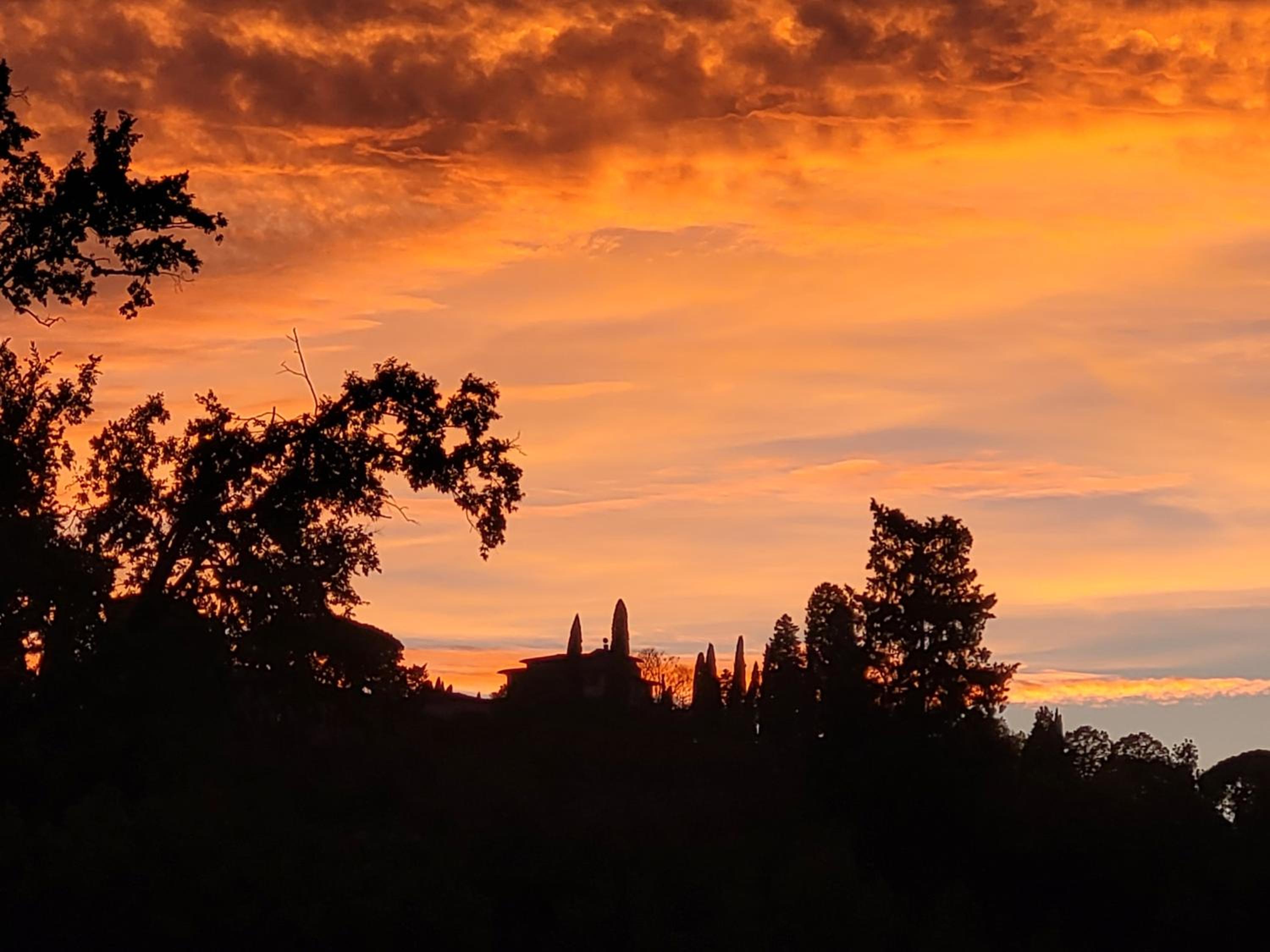 Vista su giardini storici in Oltrarno