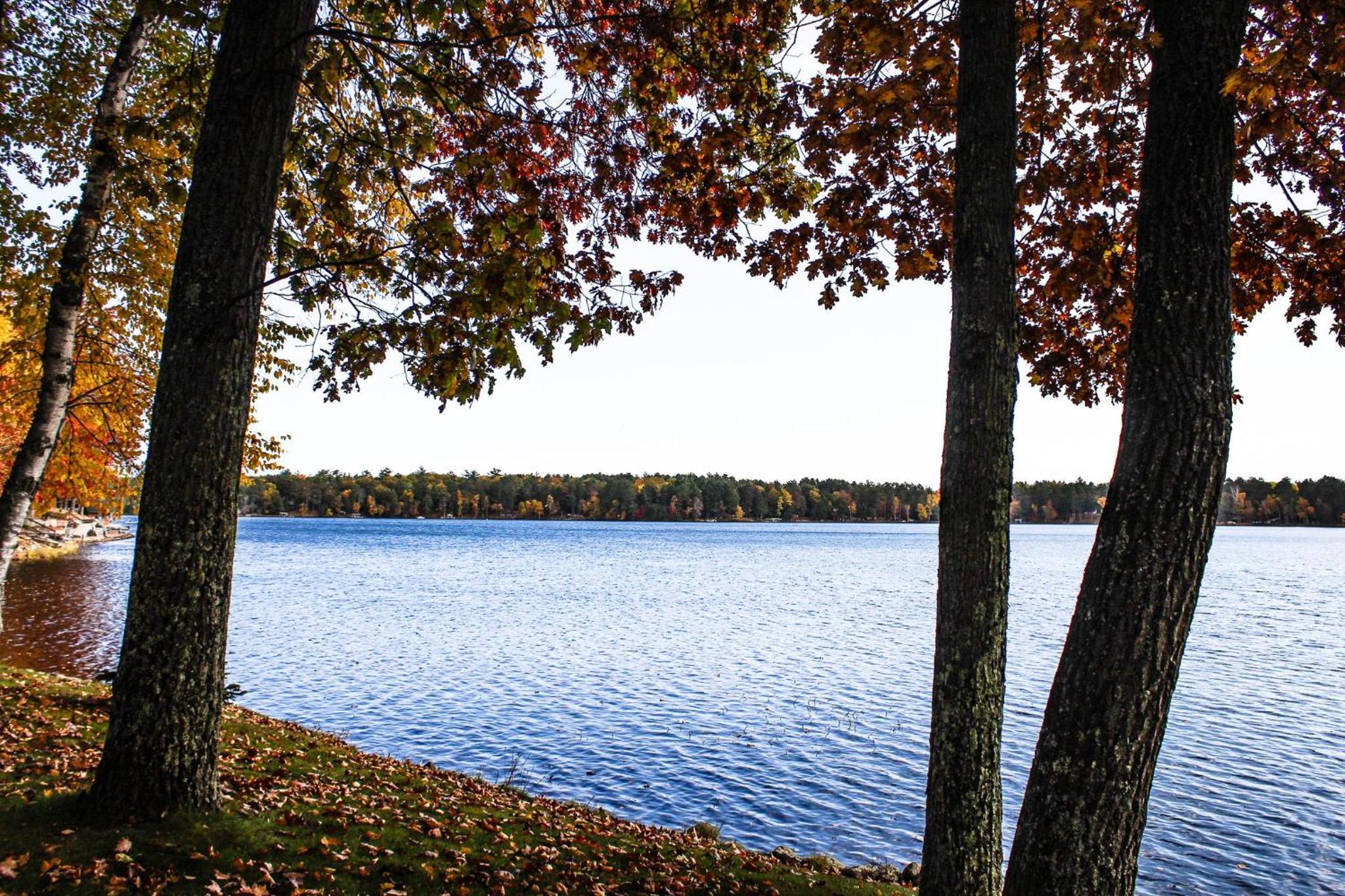 Cottage on South Bay view 2