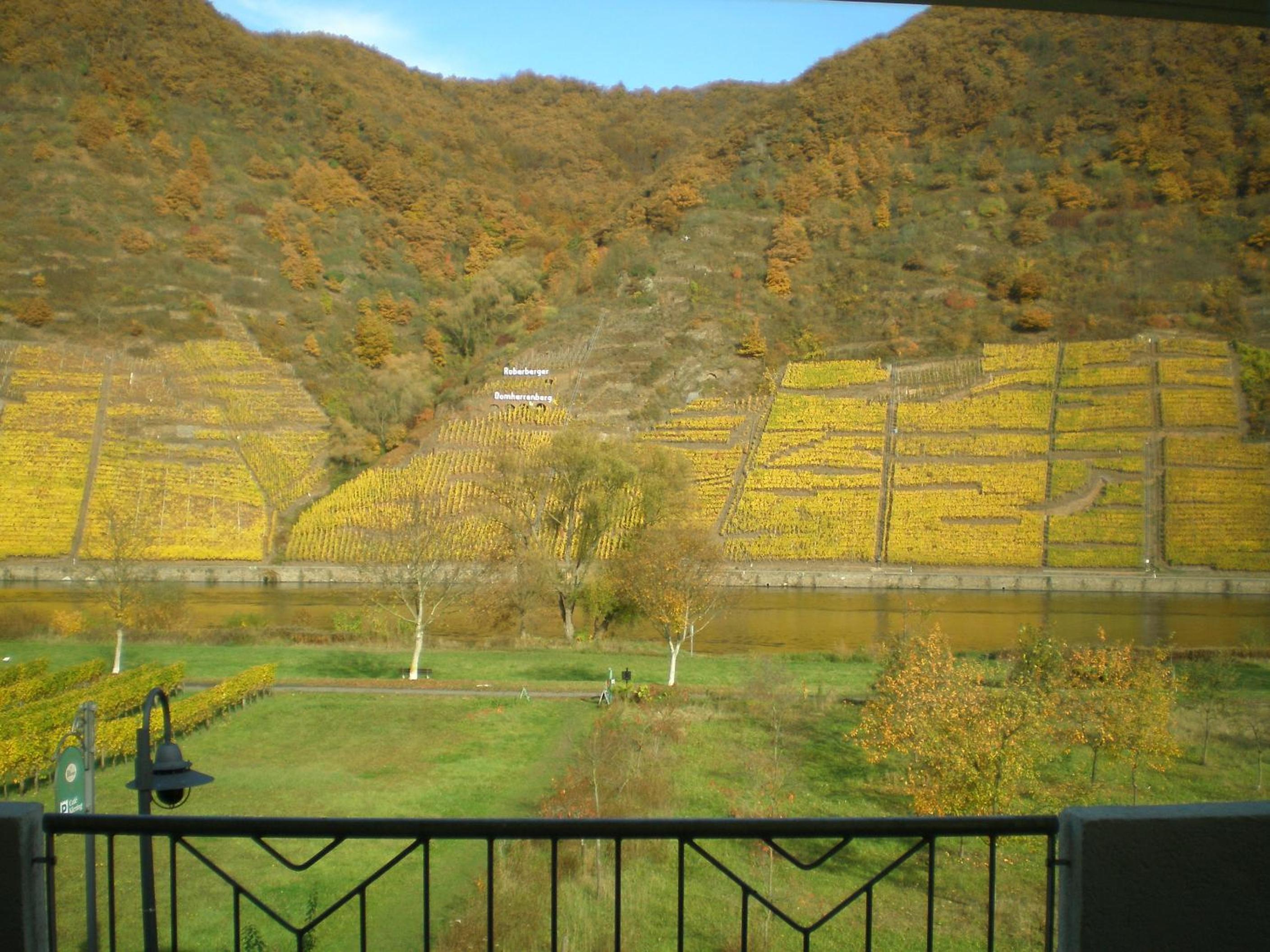 Cafe Klering view 5